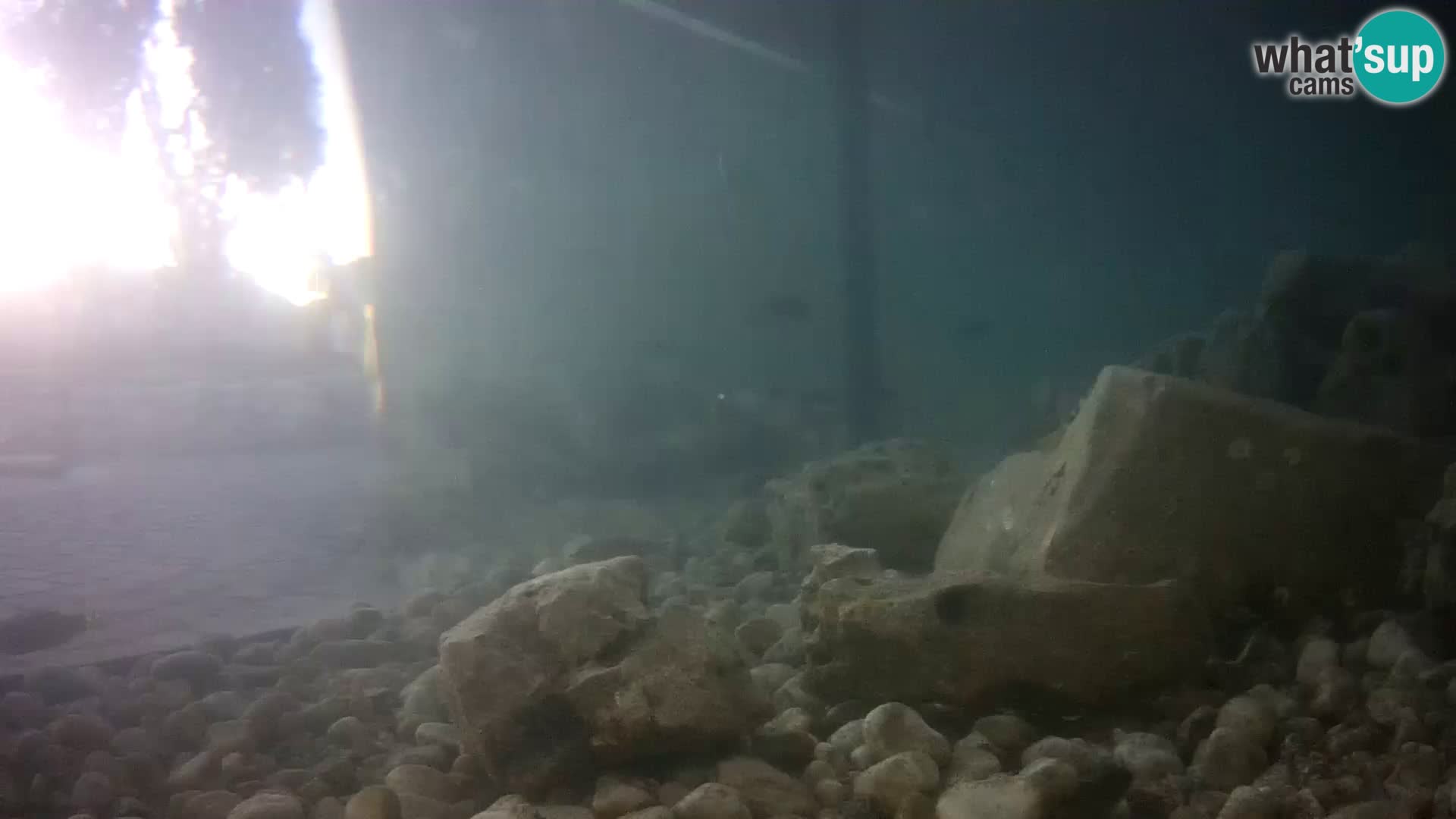 Aquario marino esterno –  Rogoznica livecam Croazia