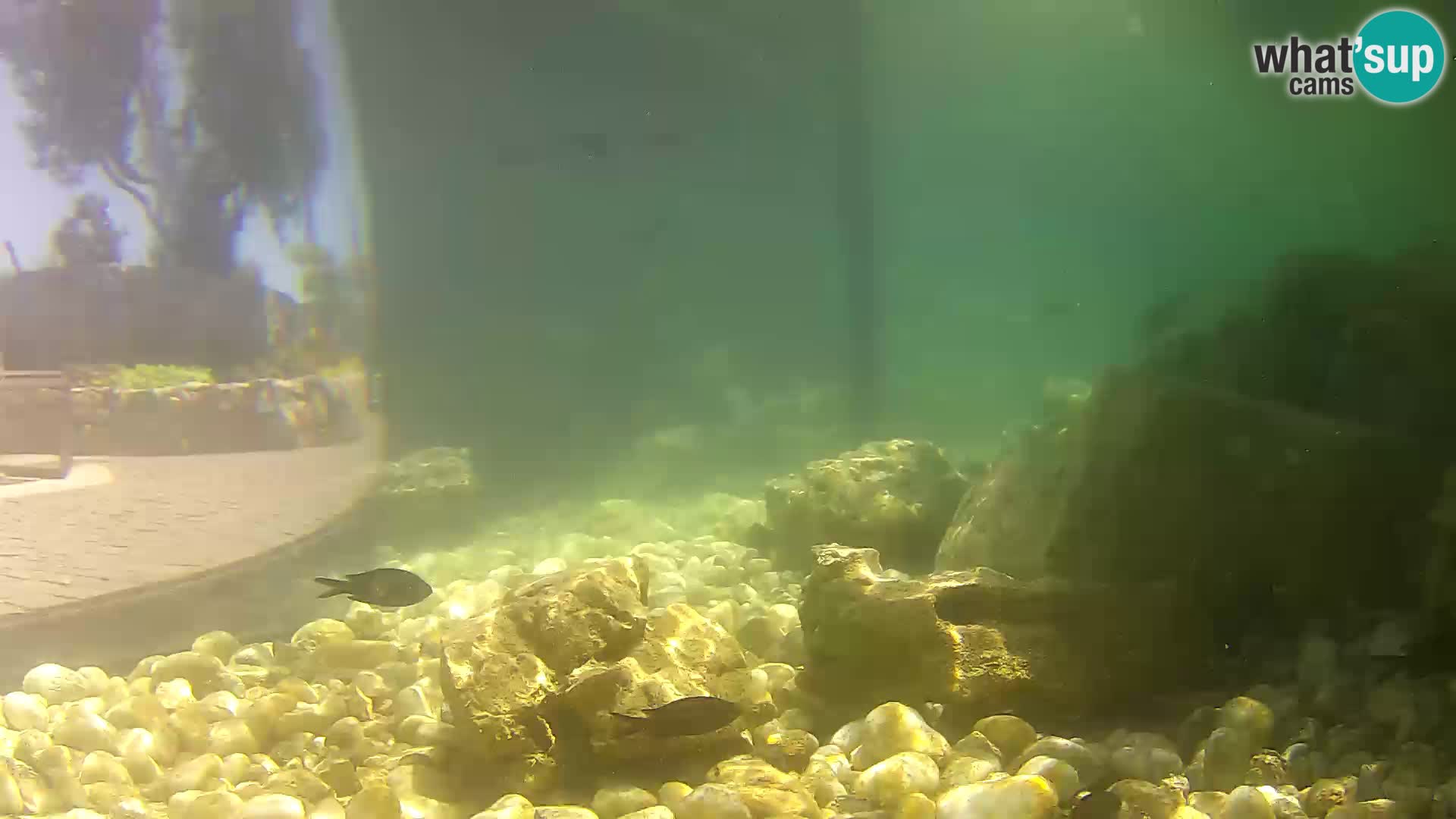 Marine Aquarium im Freien Rogoznica webcam Kroatien