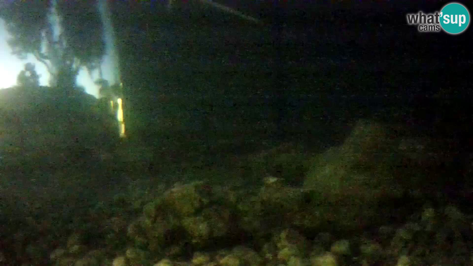 Outdoor Marine Aquarium Rogoznica webcam Croatia