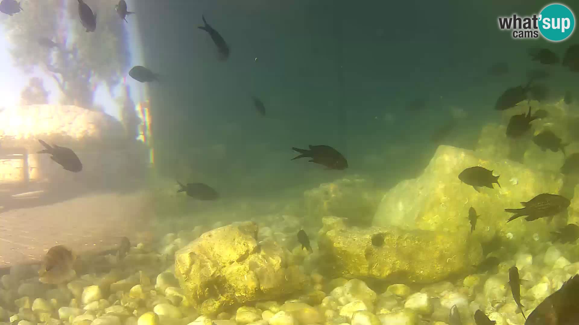 Unterwasserkamera Brijuni – Čamčarnica