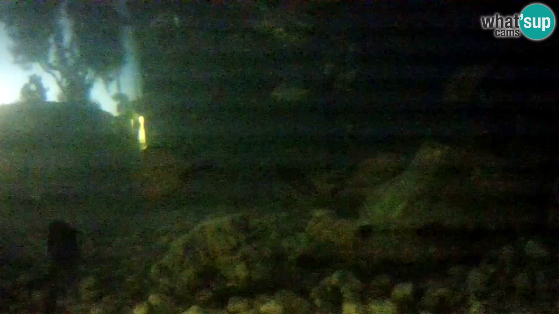 Aquario marino esterno –  Rogoznica livecam Croazia