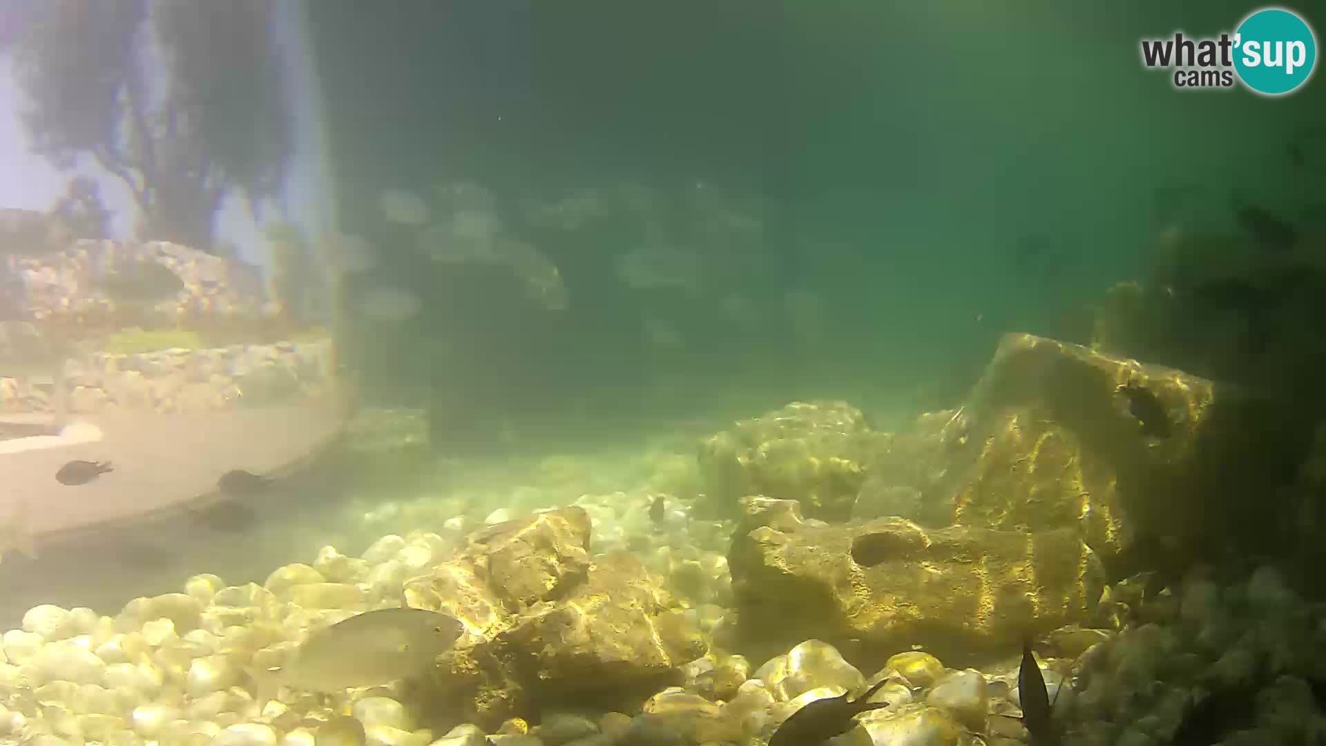 Marine Aquarium im Freien Rogoznica webcam Kroatien