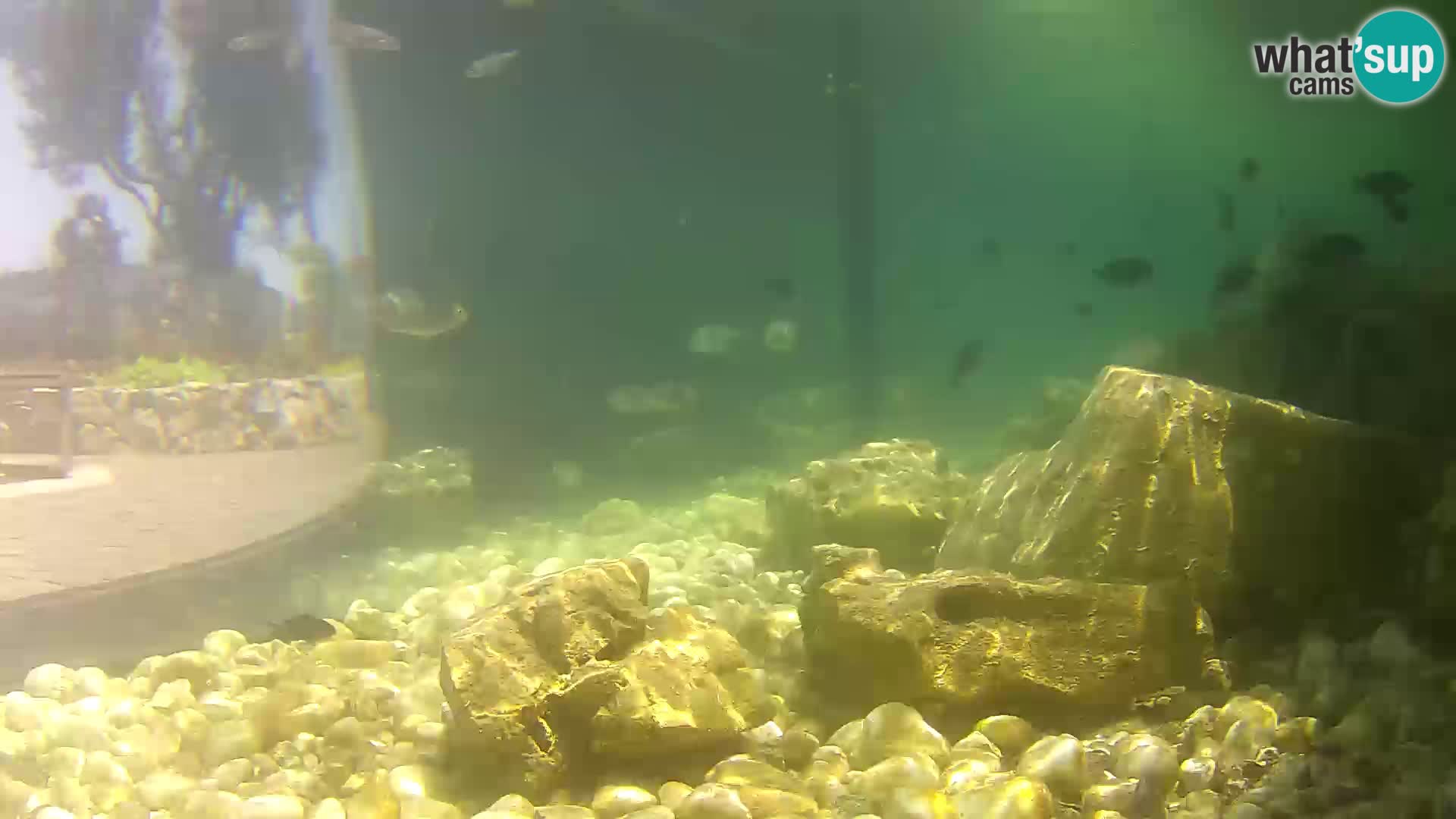 Unterwasserkamera Brijuni – Čamčarnica