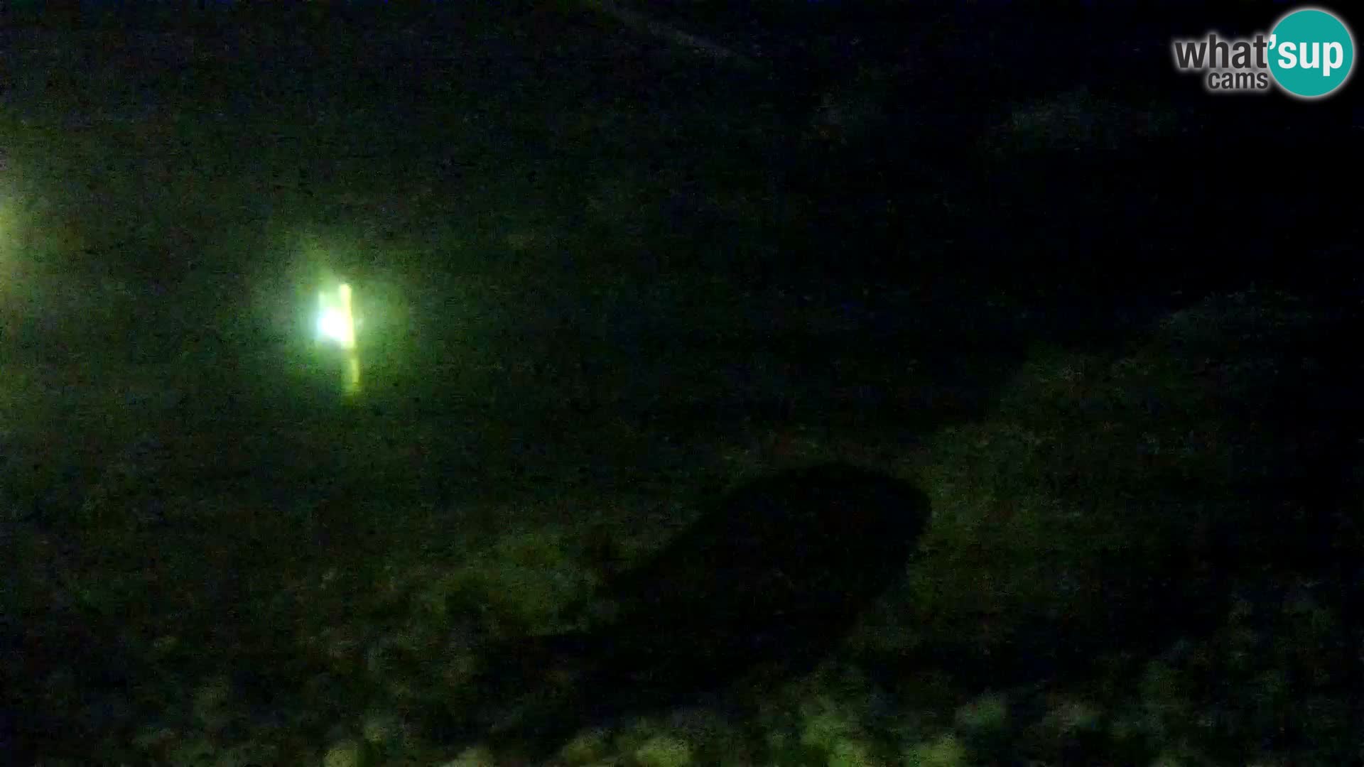 Acuario marino al aire libre Rogoznica webcam Croacia