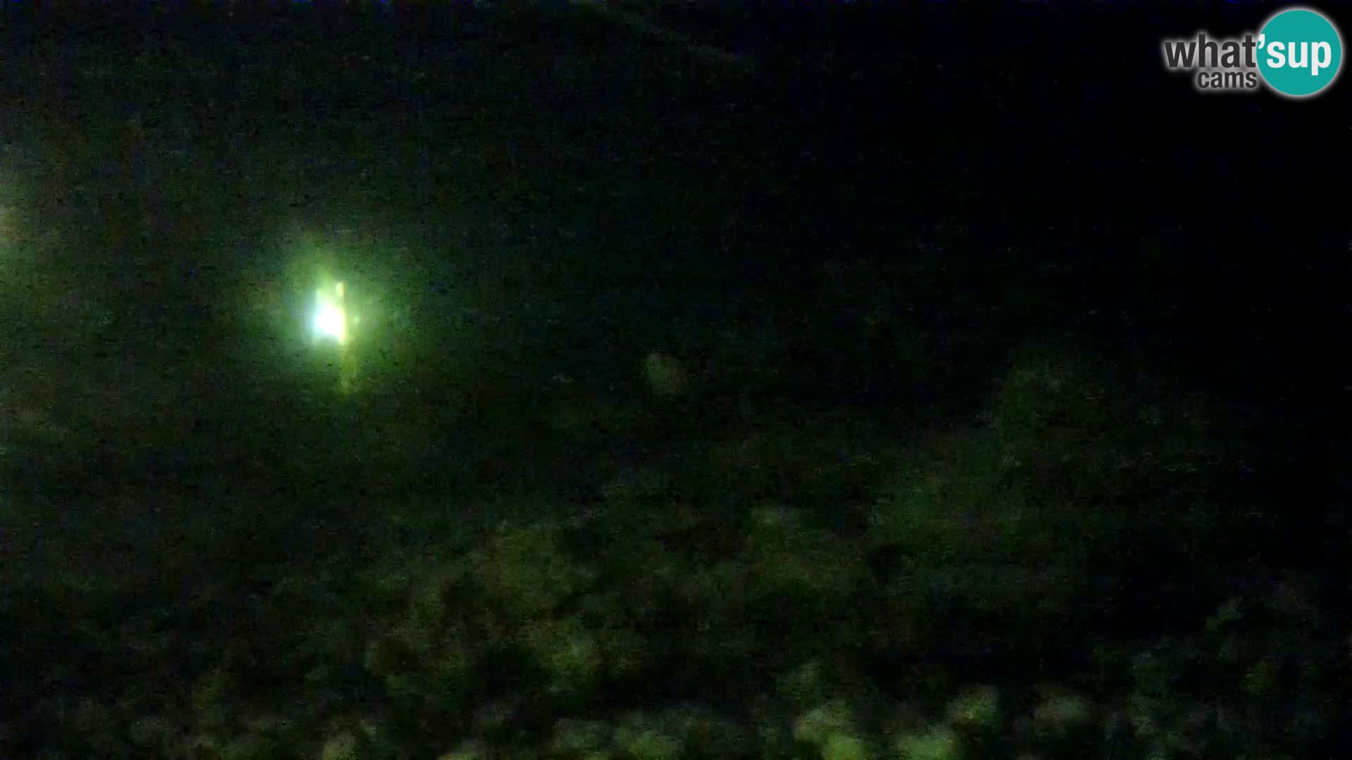 Aquario marino esterno –  Rogoznica livecam Croazia