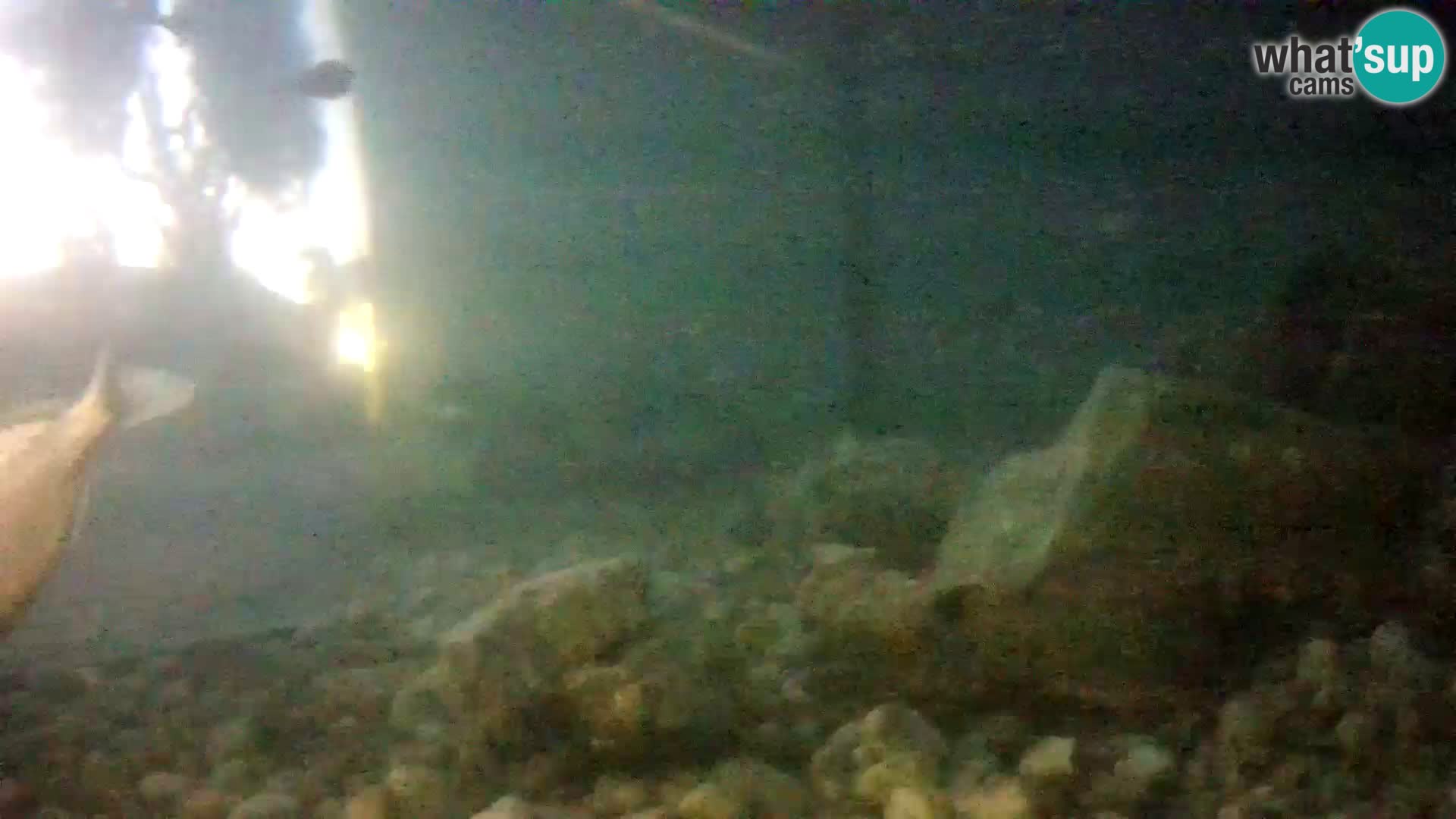 Marine Aquarium im Freien Rogoznica webcam Kroatien