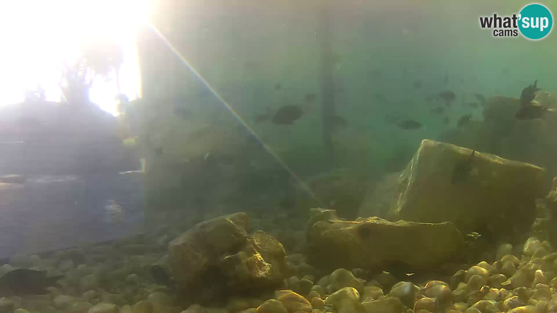 Outdoor Marine Aquarium Rogoznica webcam Croatia