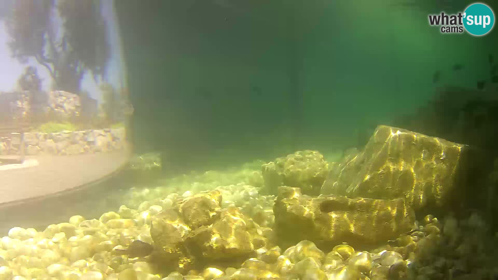 Outdoor Marine Aquarium Rogoznica webcam Croatia