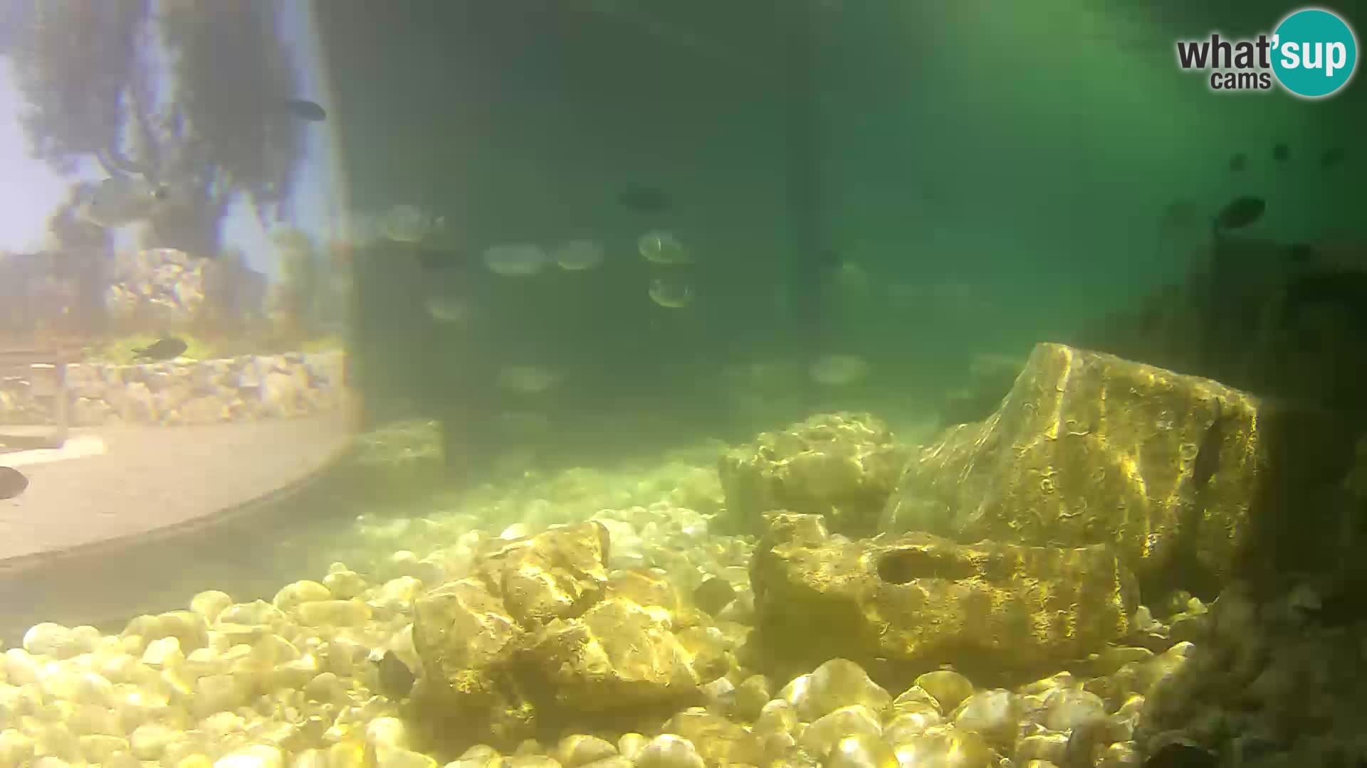 Marine Aquarium im Freien Rogoznica webcam Kroatien