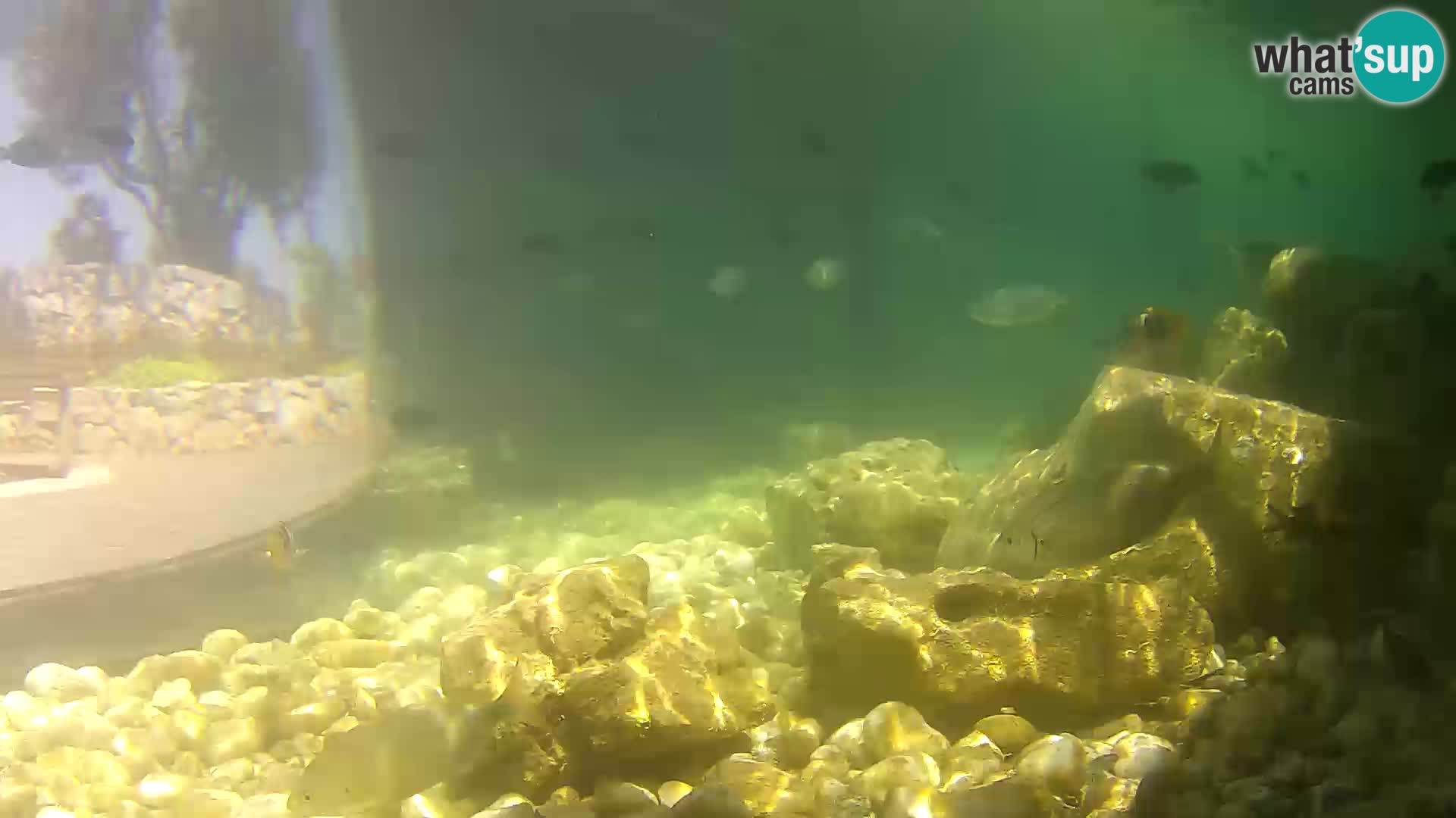 Outdoor Marine Aquarium Rogoznica webcam Croatia