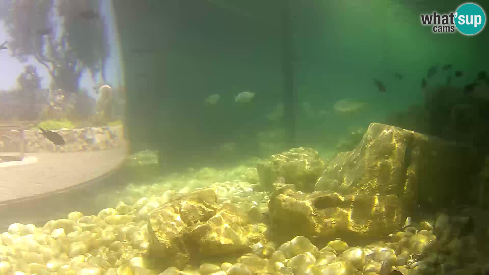 Marine Aquarium im Freien Rogoznica webcam Kroatien