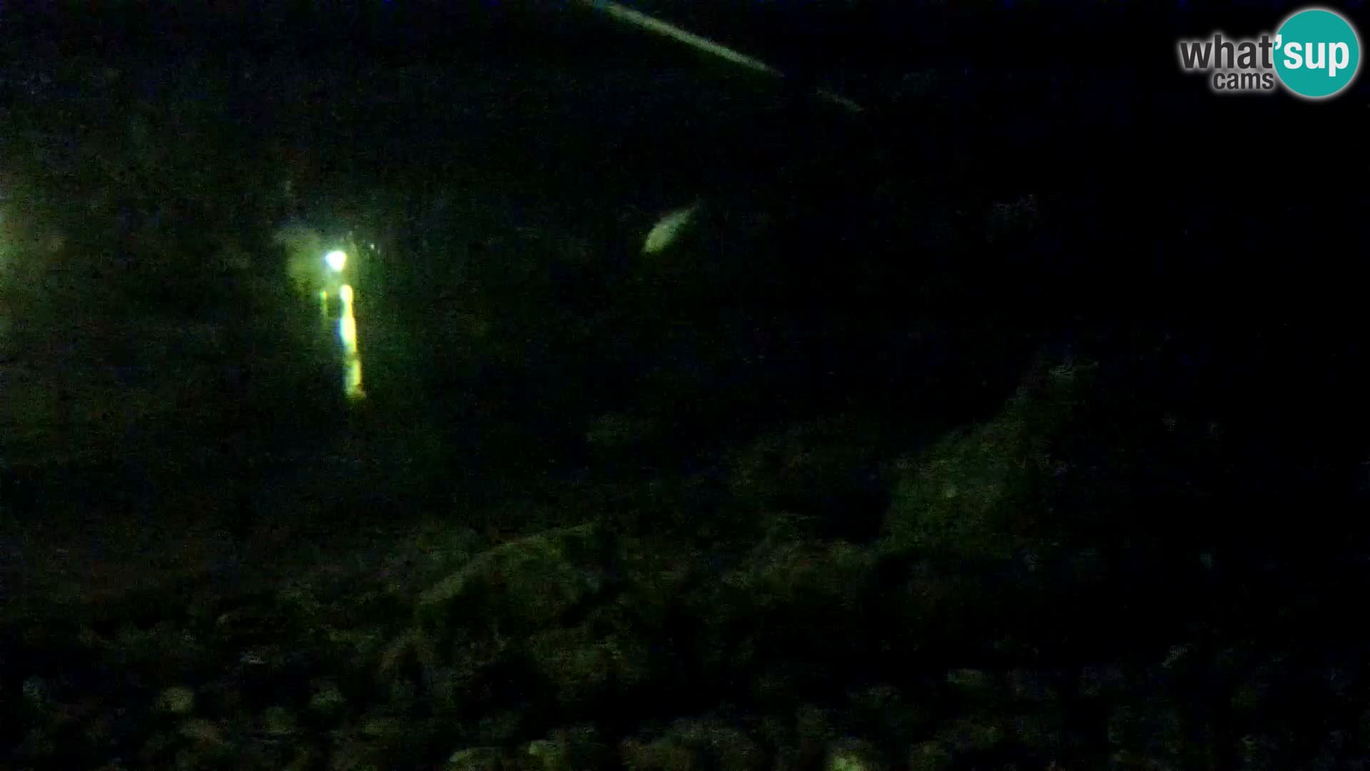 Zunanji morski akvarij Rogoznica spletna kamera Hrvaška