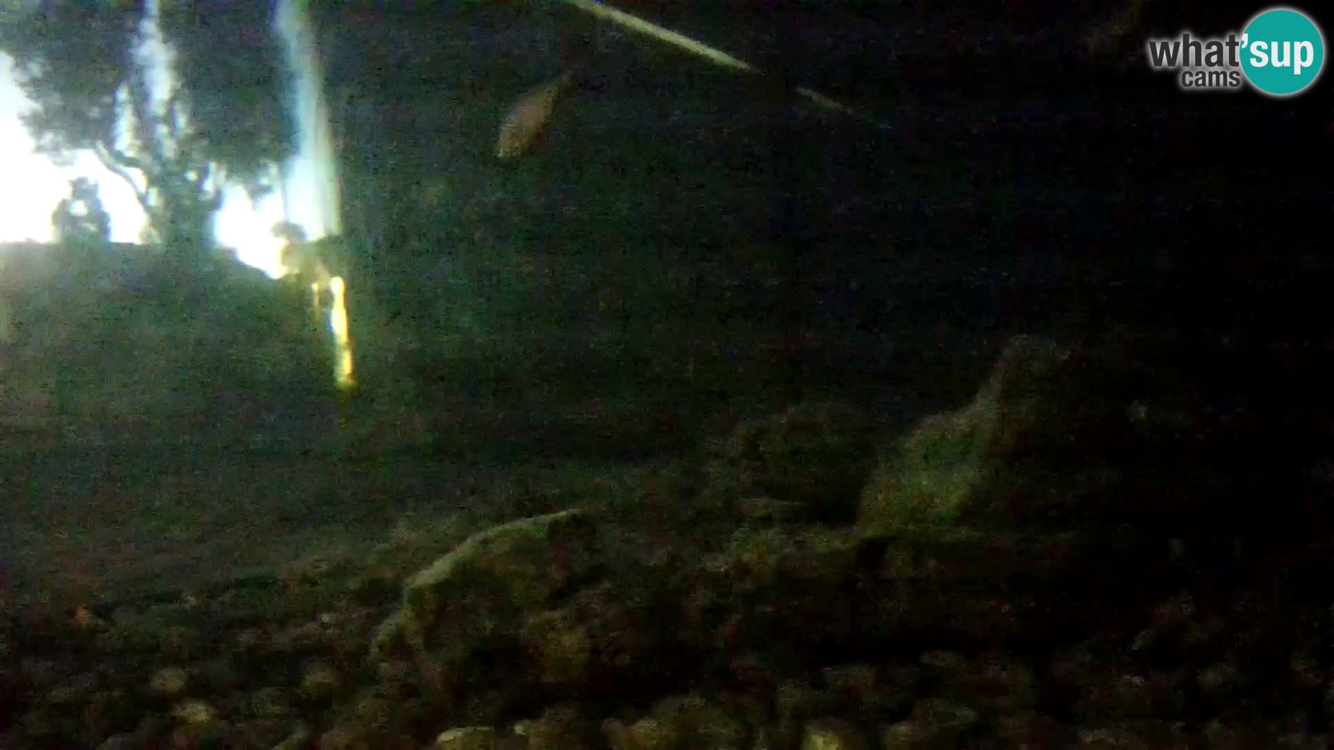 Marine Aquarium im Freien Rogoznica webcam Kroatien