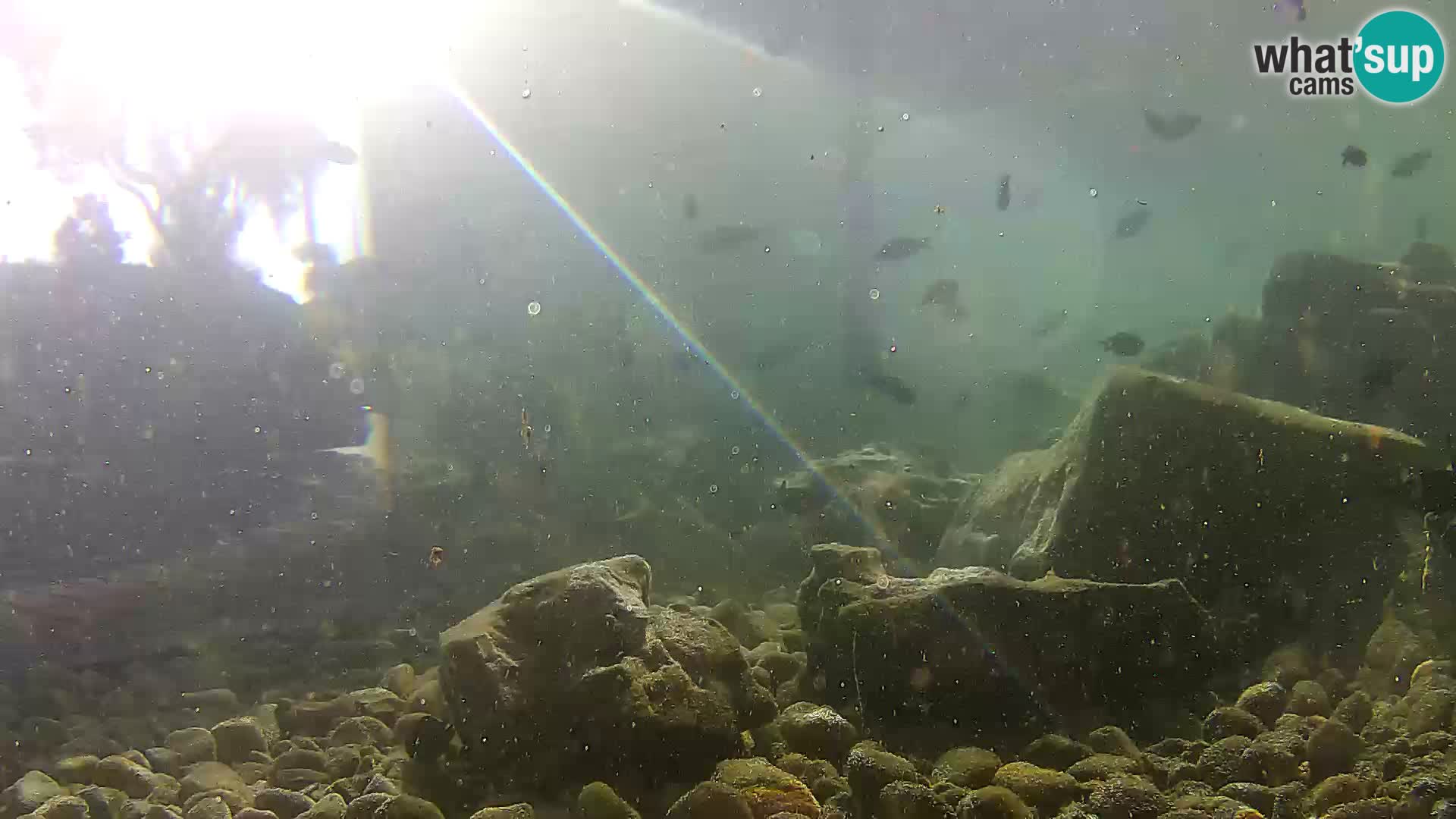 Marine Aquarium im Freien Rogoznica webcam Kroatien