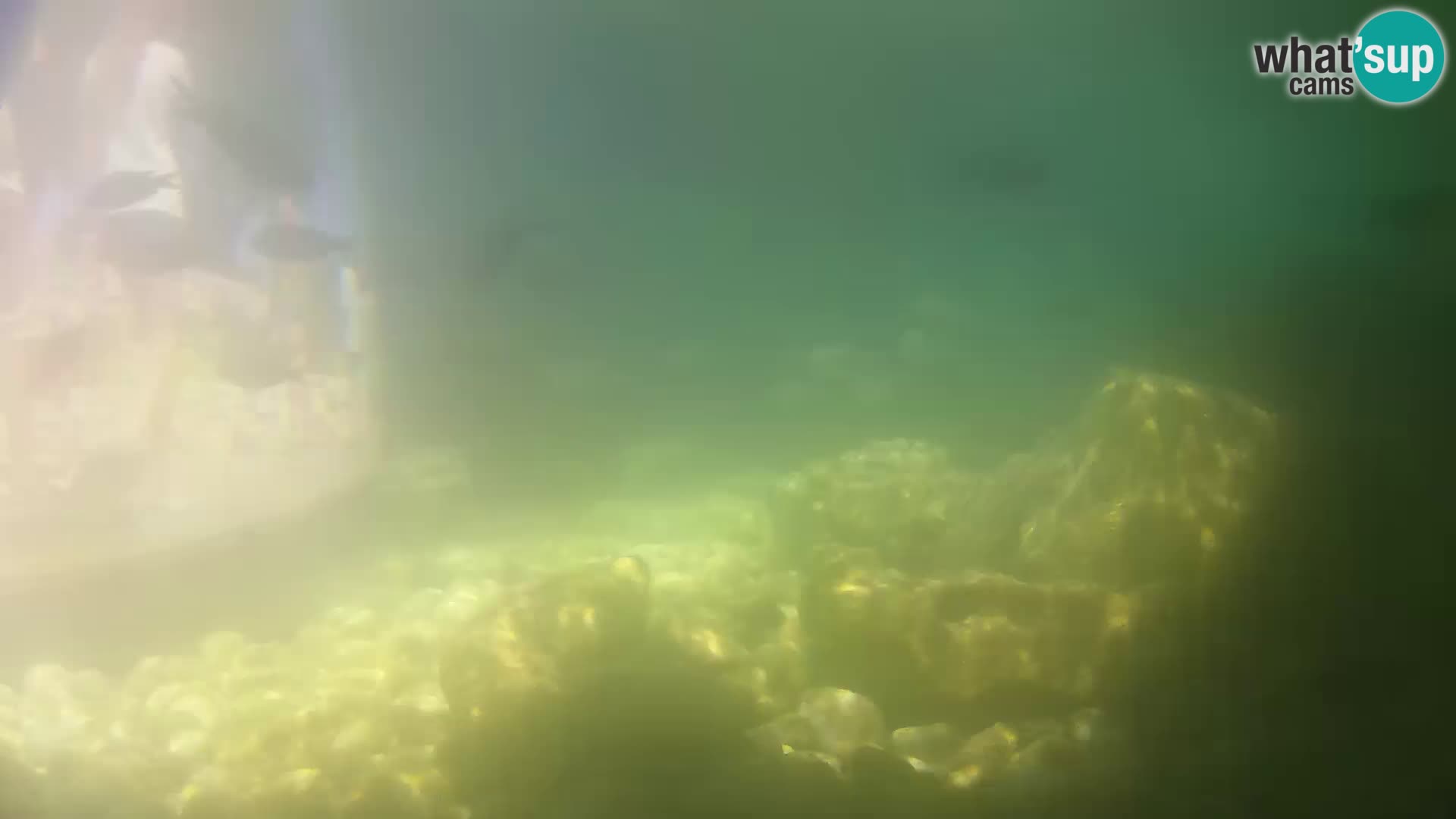 Outdoor Marine Aquarium Rogoznica webcam Croatia