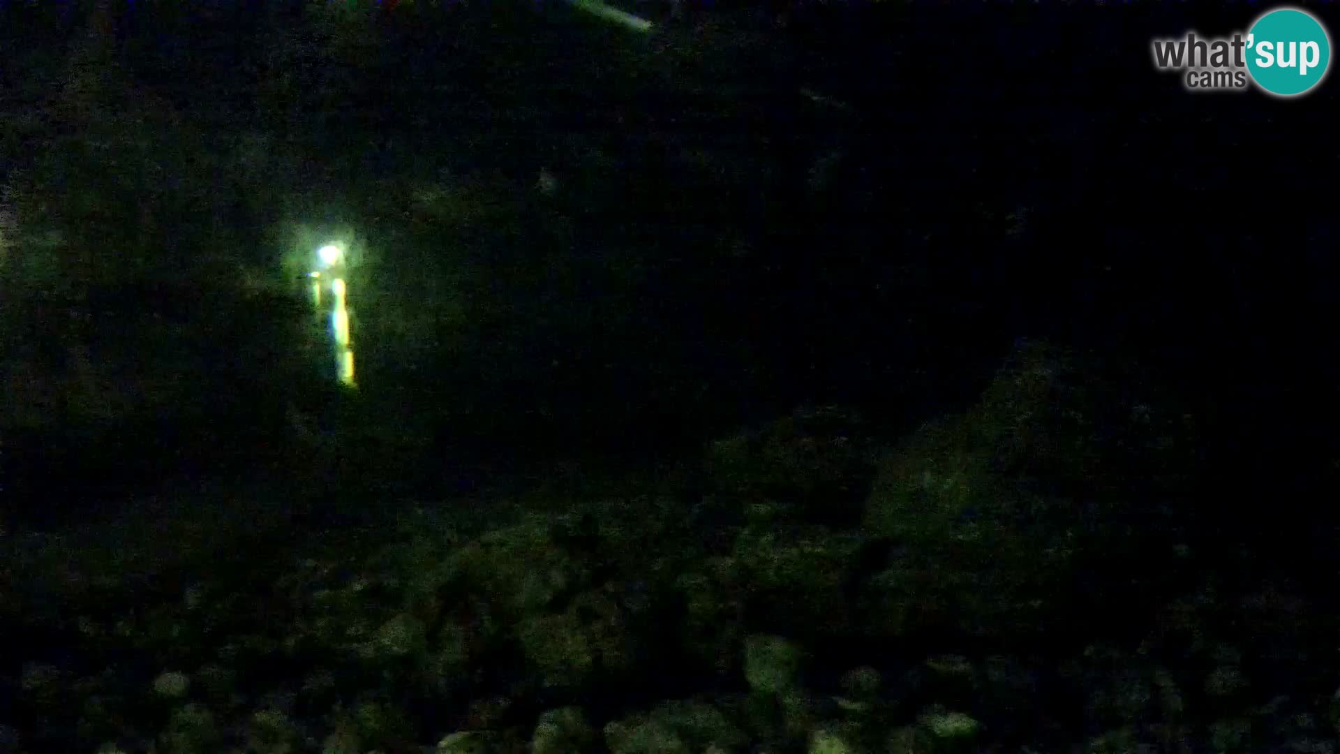 Aquario marino esterno –  Rogoznica livecam Croazia
