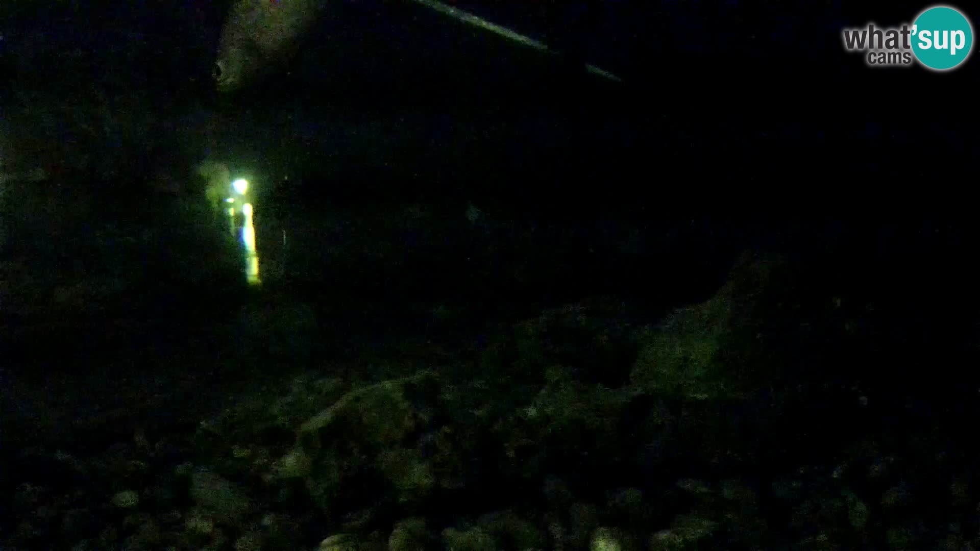 Outdoor Marine Aquarium Rogoznica webcam Croatia