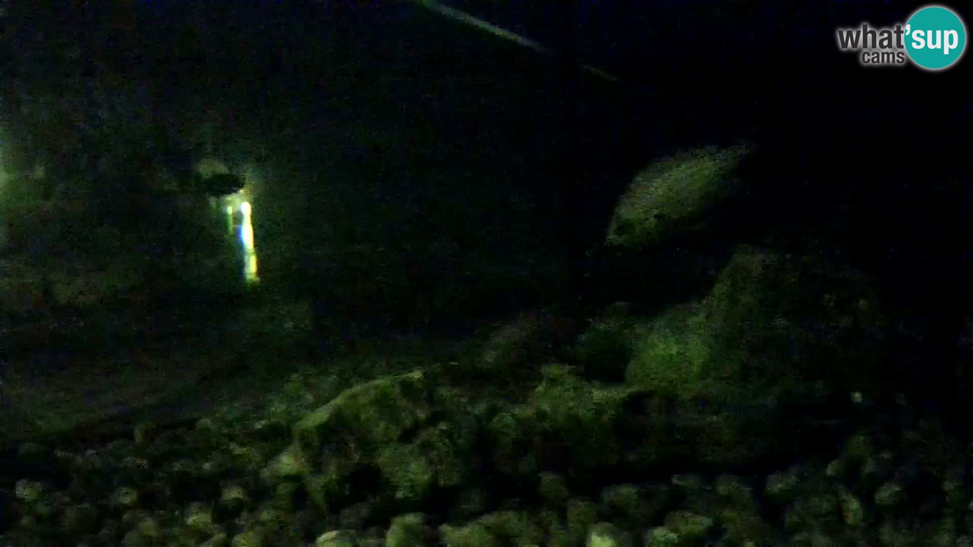 Aquario marino esterno –  Rogoznica livecam Croazia