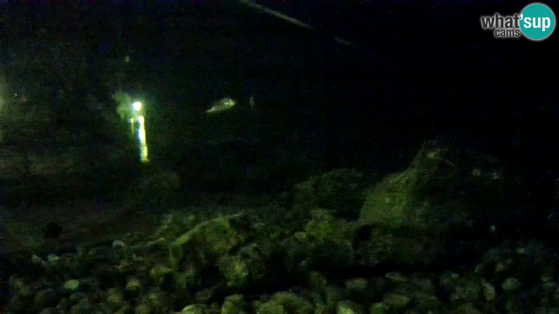 Aquario marino esterno –  Rogoznica livecam Croazia