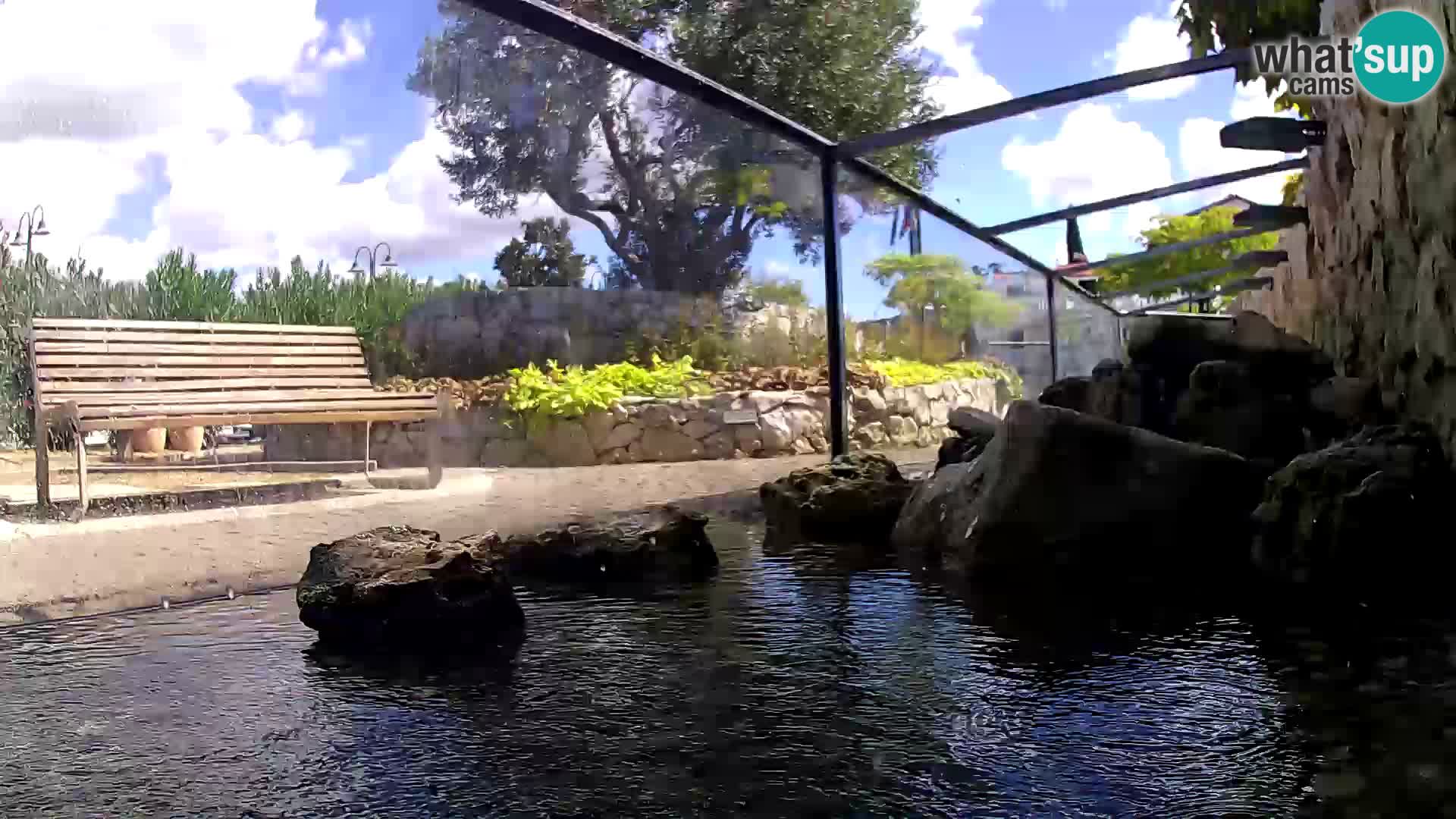 Acuario marino al aire libre Rogoznica webcam Croacia