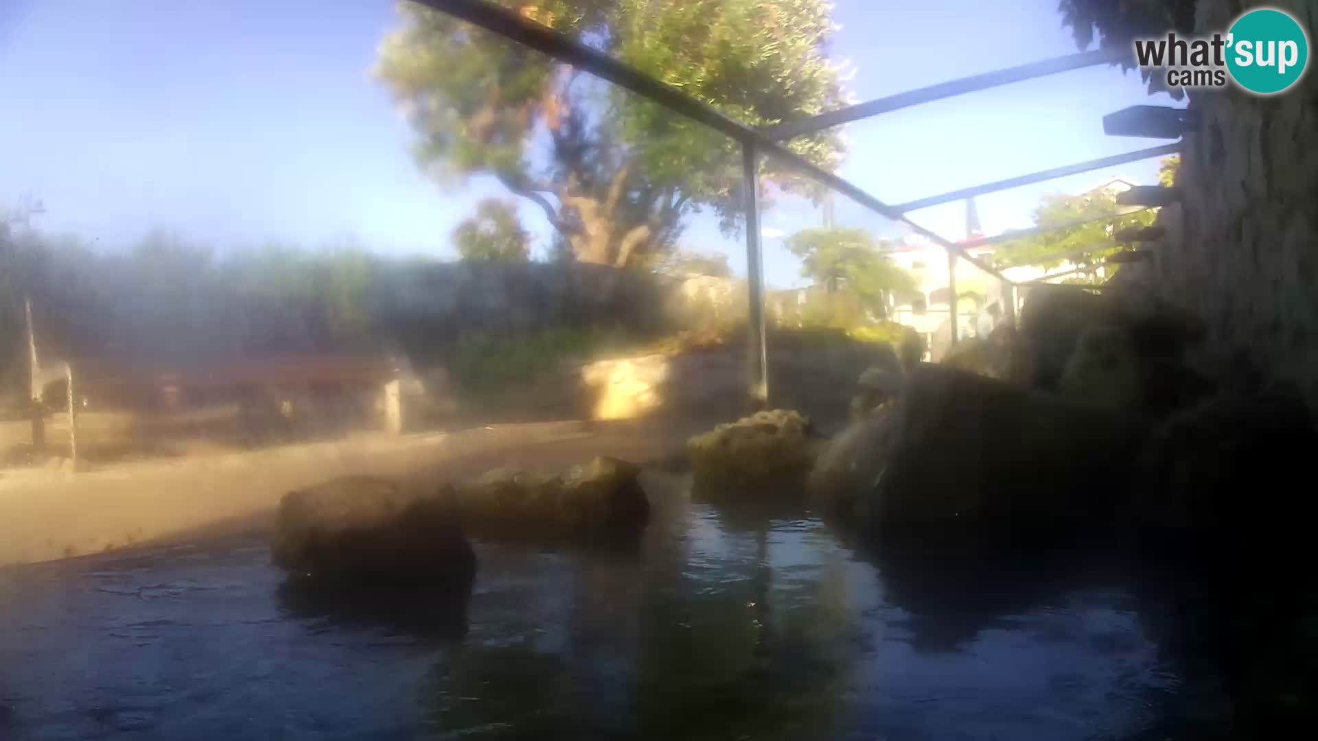 Outdoor Marine Aquarium Rogoznica webcam Croatia