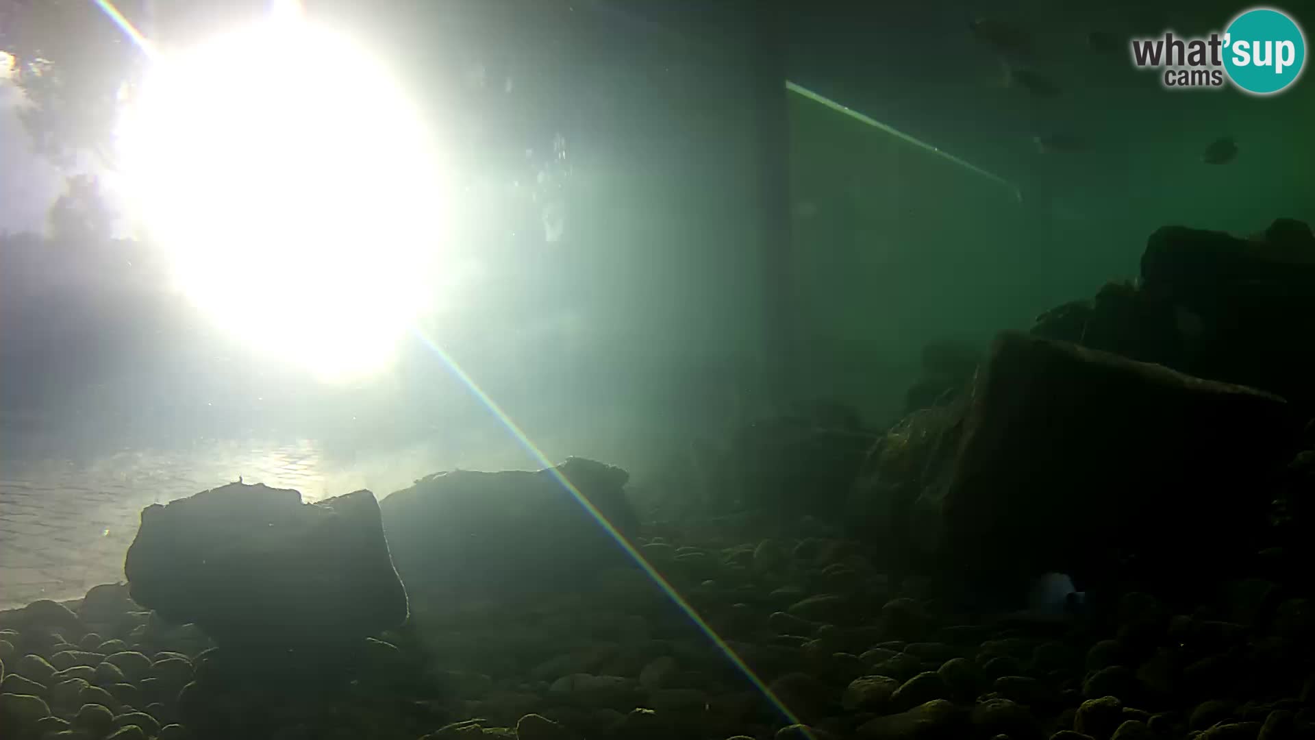 Marine Aquarium im Freien Rogoznica webcam Kroatien