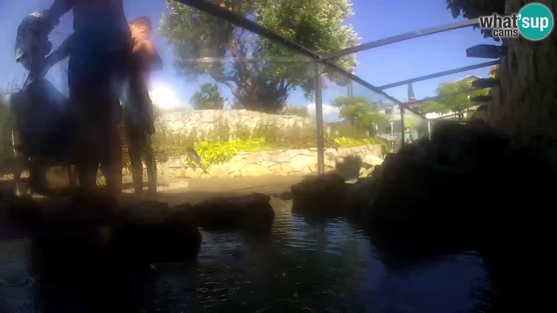Marine Aquarium im Freien Rogoznica webcam Kroatien