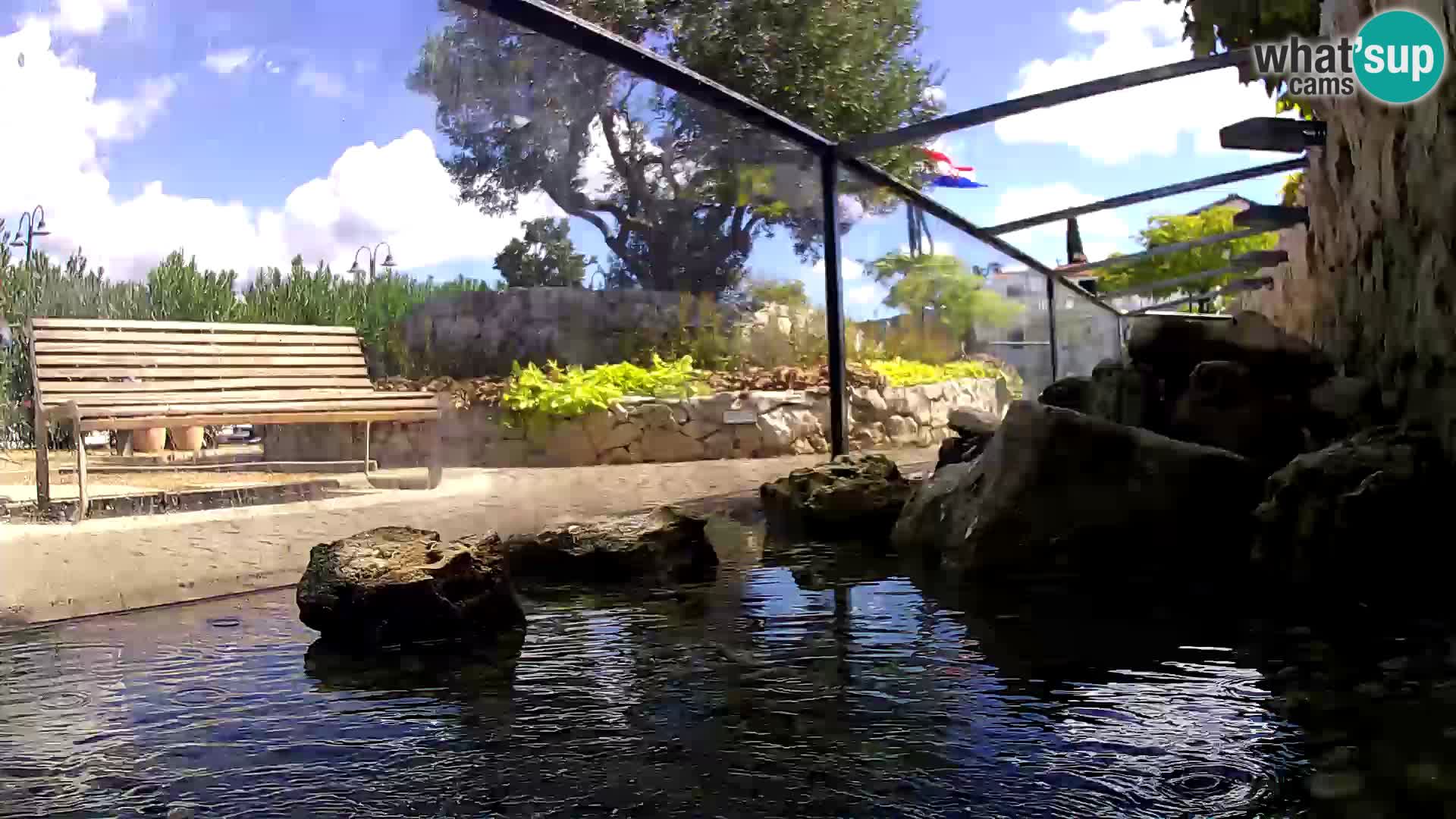 Webcam de l’aquarium marin extérieur de Rogoznica Croatie