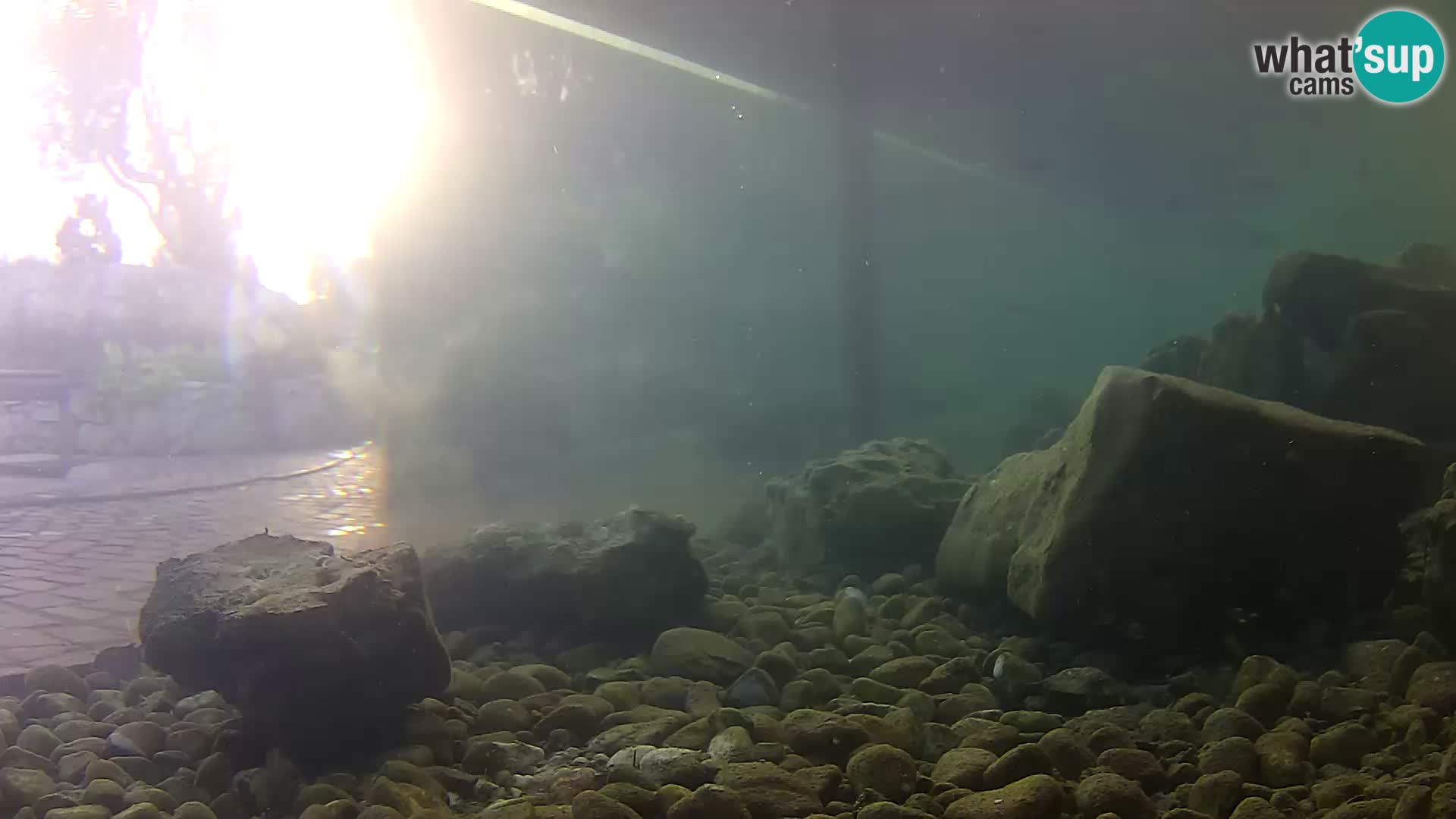 Marine Aquarium im Freien Rogoznica webcam Kroatien