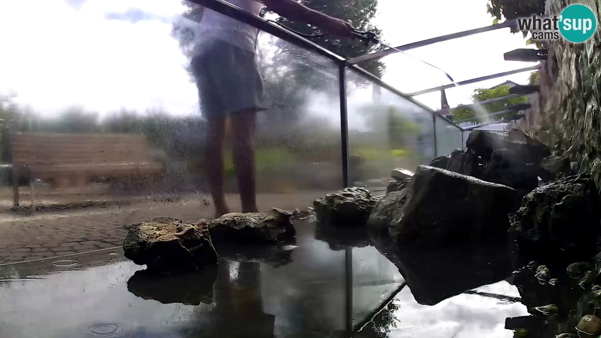 Aquario marino esterno –  Rogoznica livecam Croazia