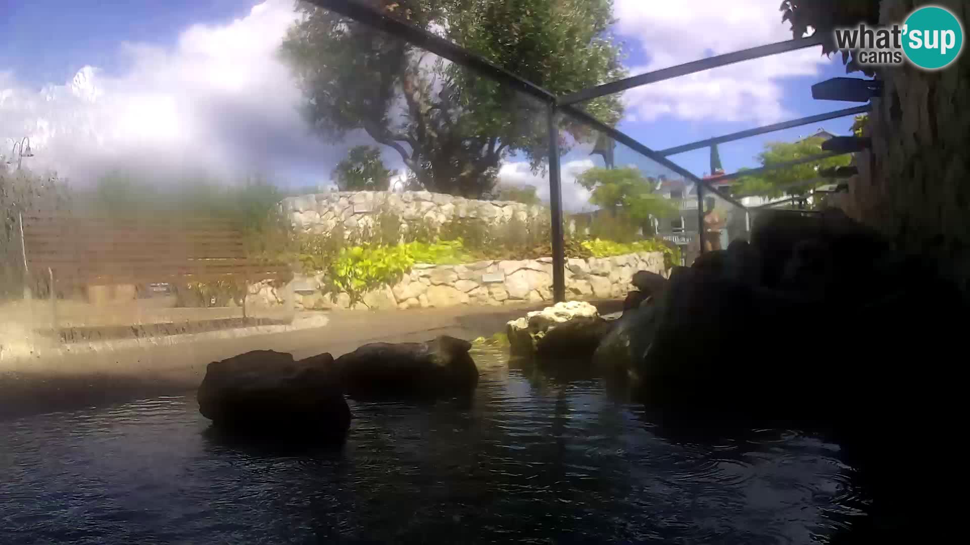 Acuario marino al aire libre Rogoznica webcam Croacia