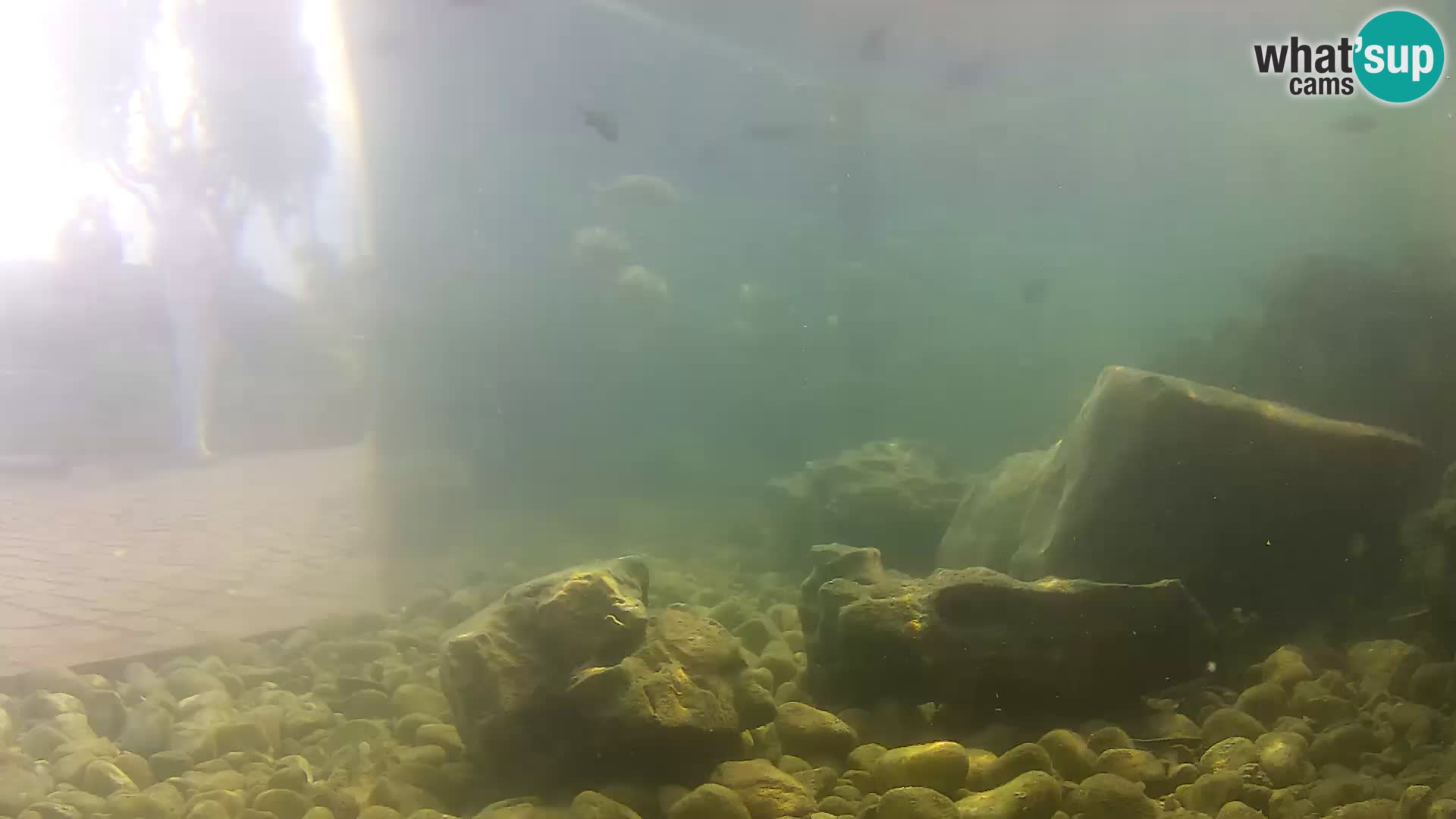 Marine Aquarium im Freien Rogoznica webcam Kroatien