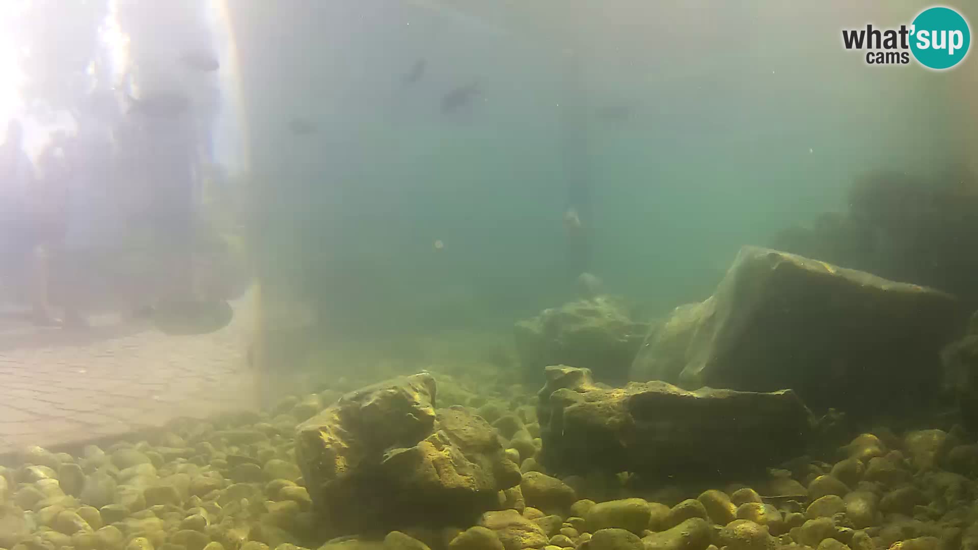 Marine Aquarium im Freien Rogoznica webcam Kroatien