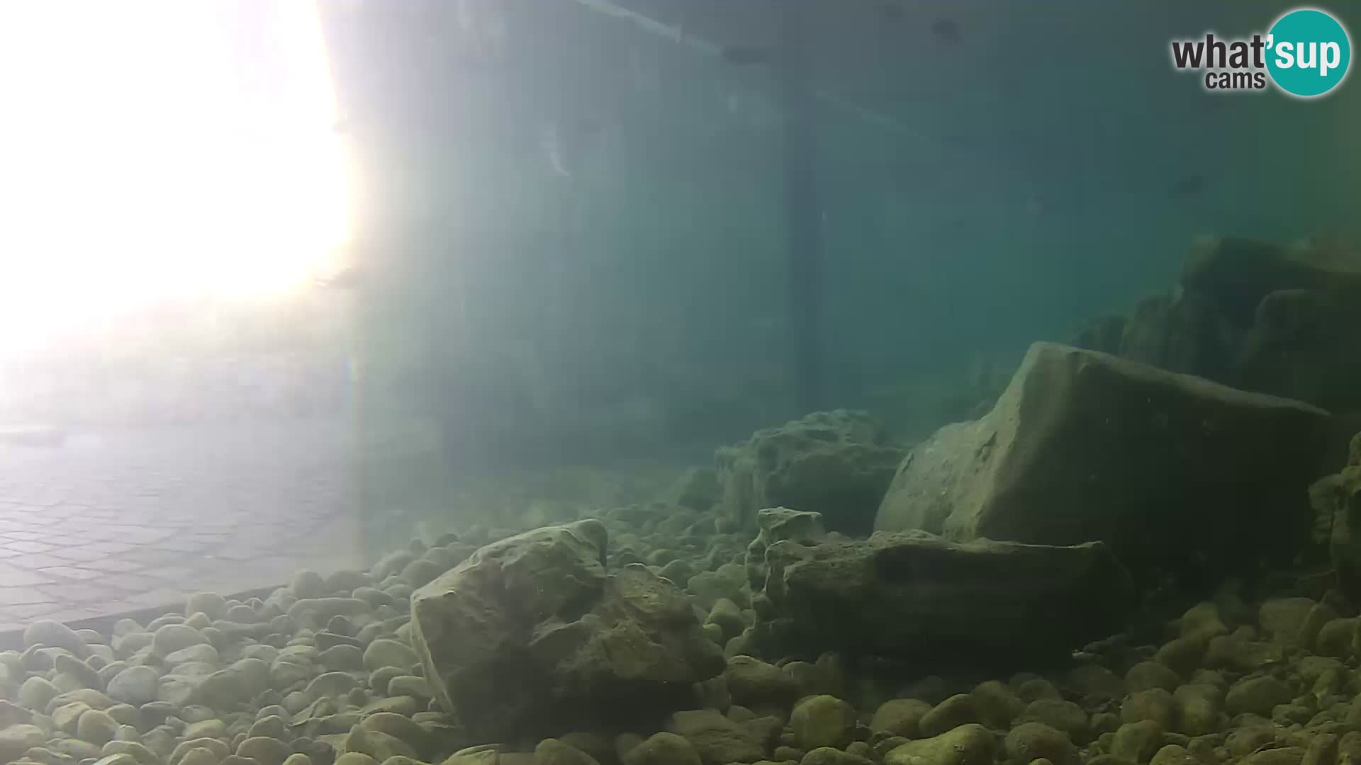 Webcam de l’aquarium marin extérieur de Rogoznica Croatie