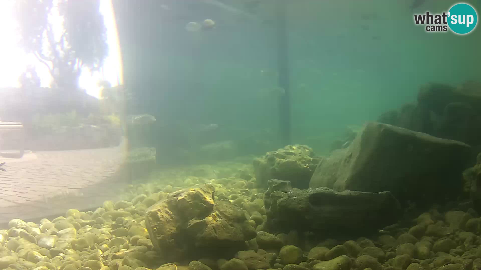 Webcam de l’aquarium marin extérieur de Rogoznica Croatie
