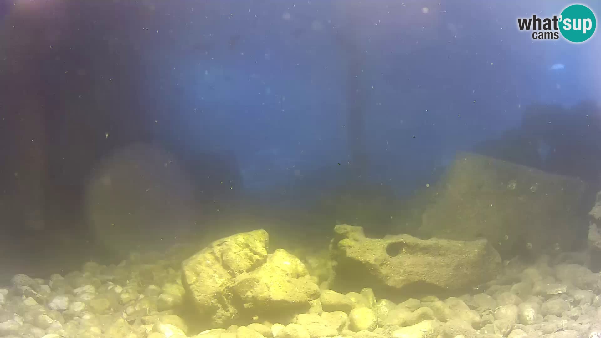 Webcam de l’aquarium marin extérieur de Rogoznica Croatie