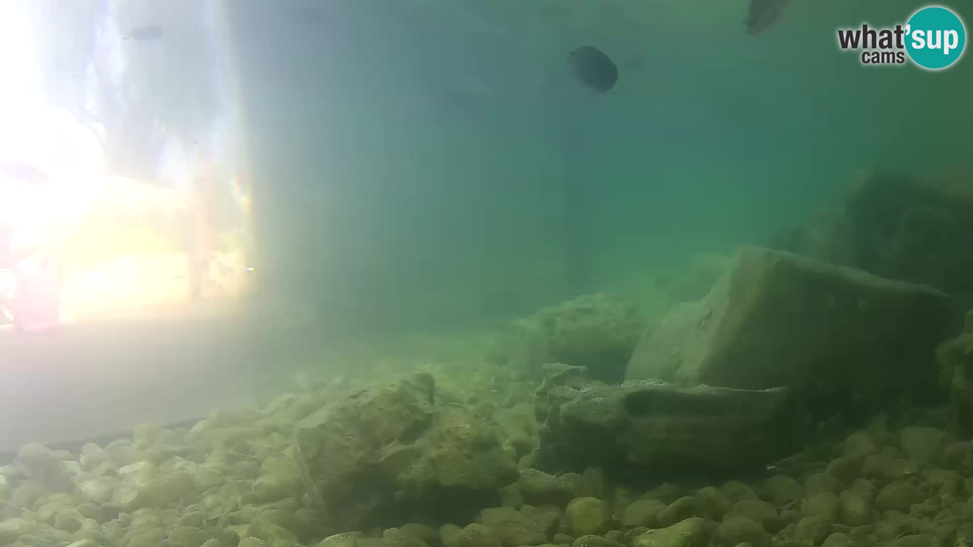 Webcam de l’aquarium marin extérieur de Rogoznica Croatie