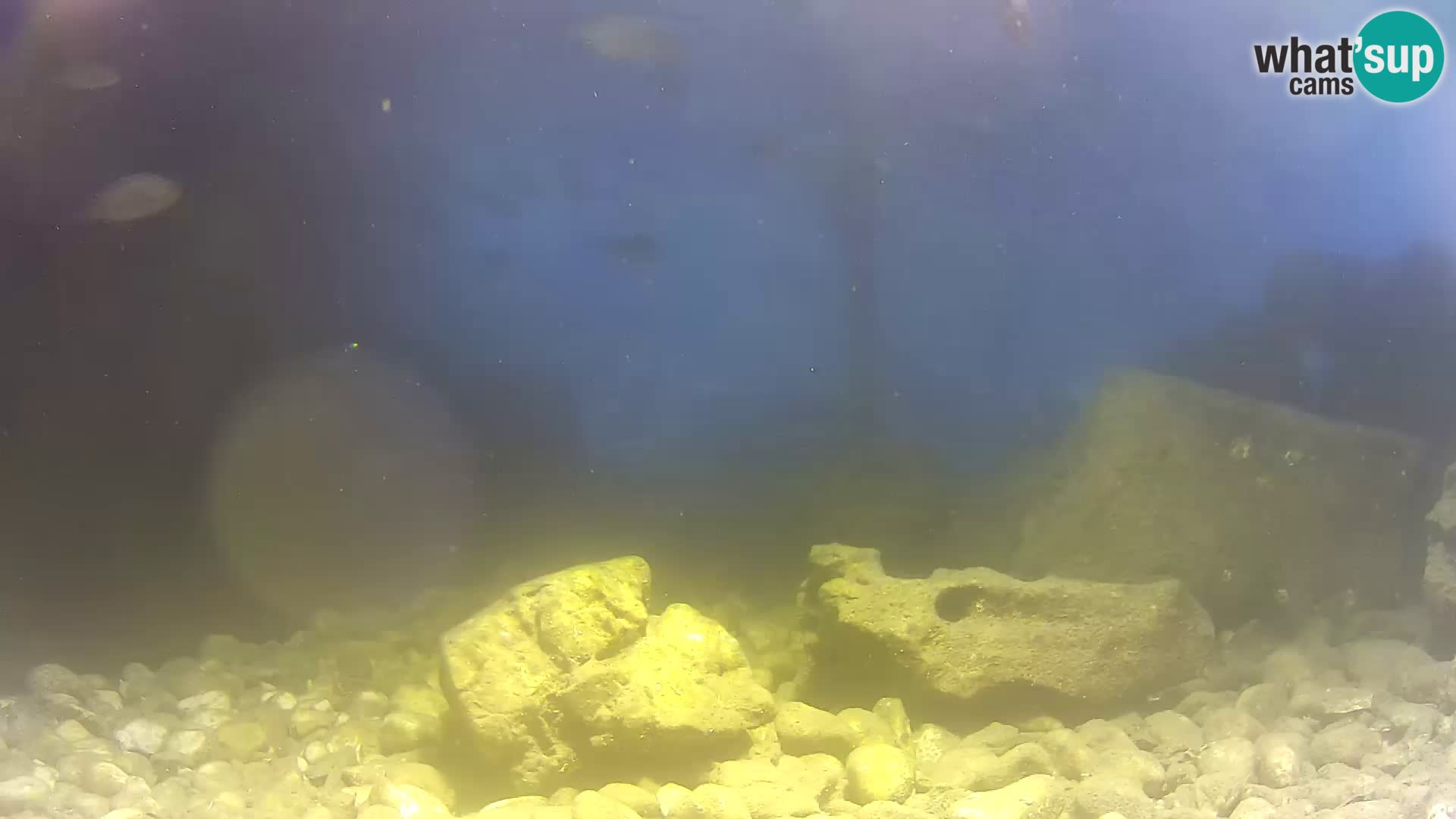 Aquario marino esterno –  Rogoznica livecam Croazia