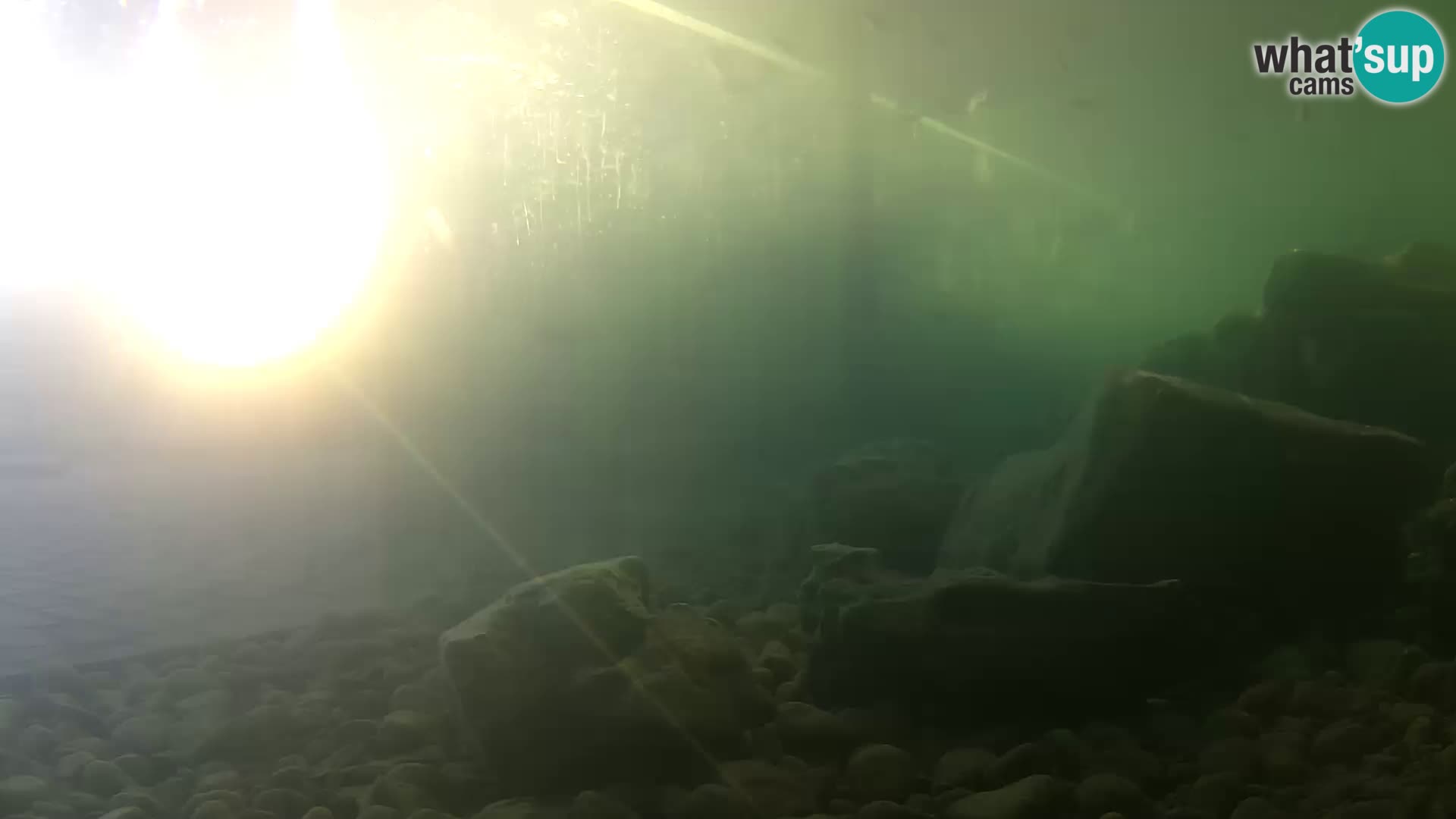 Outdoor Marine Aquarium Rogoznica webcam Croatia