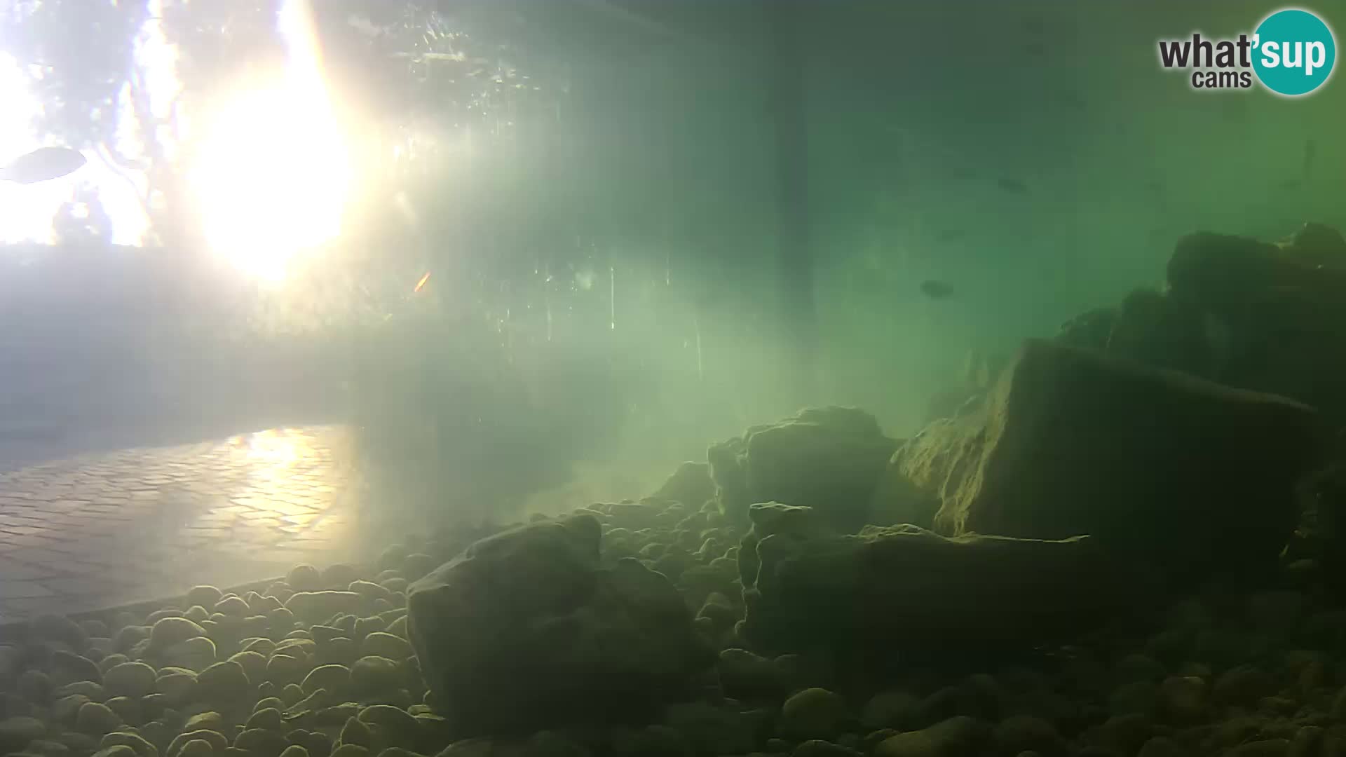 Marine Aquarium im Freien Rogoznica webcam Kroatien