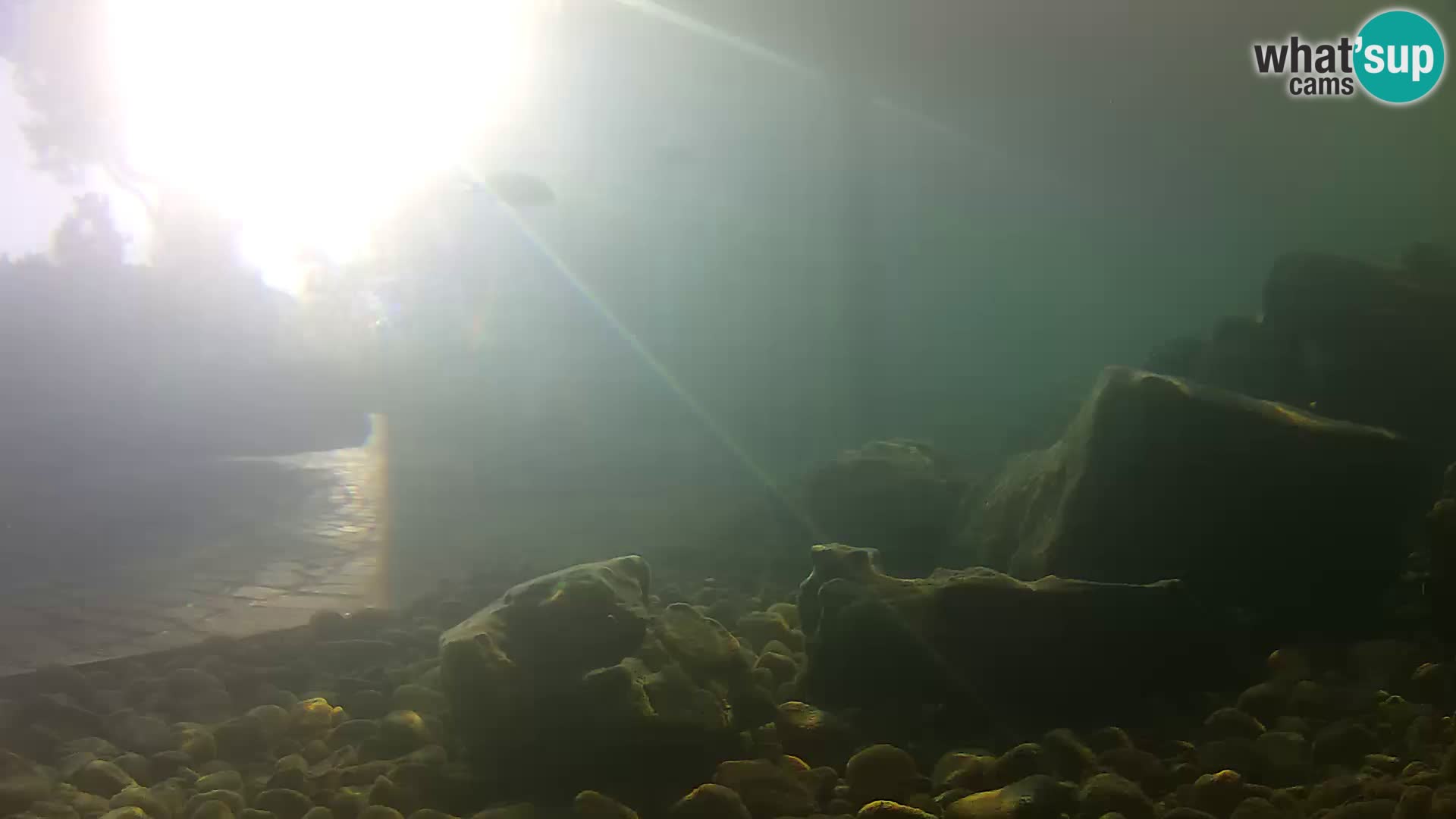 Aquario marino esterno –  Rogoznica livecam Croazia