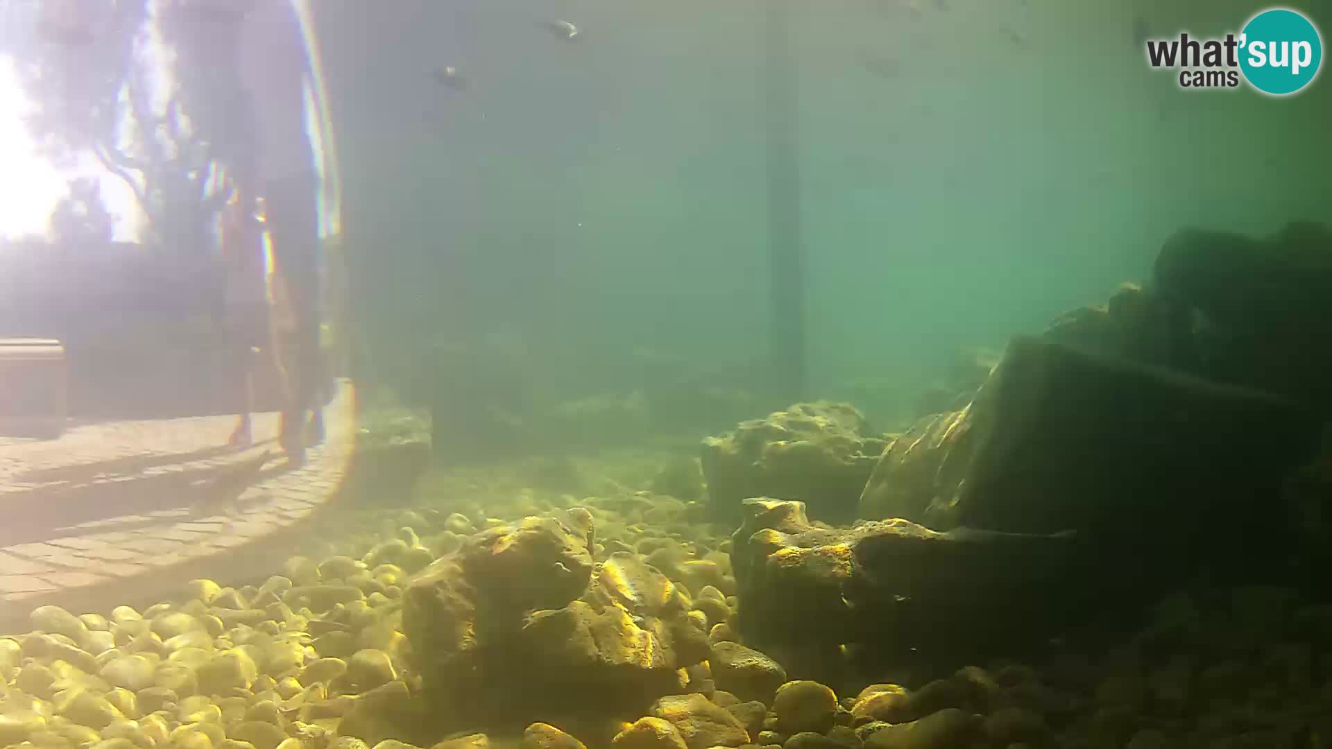 Marine Aquarium im Freien Rogoznica webcam Kroatien