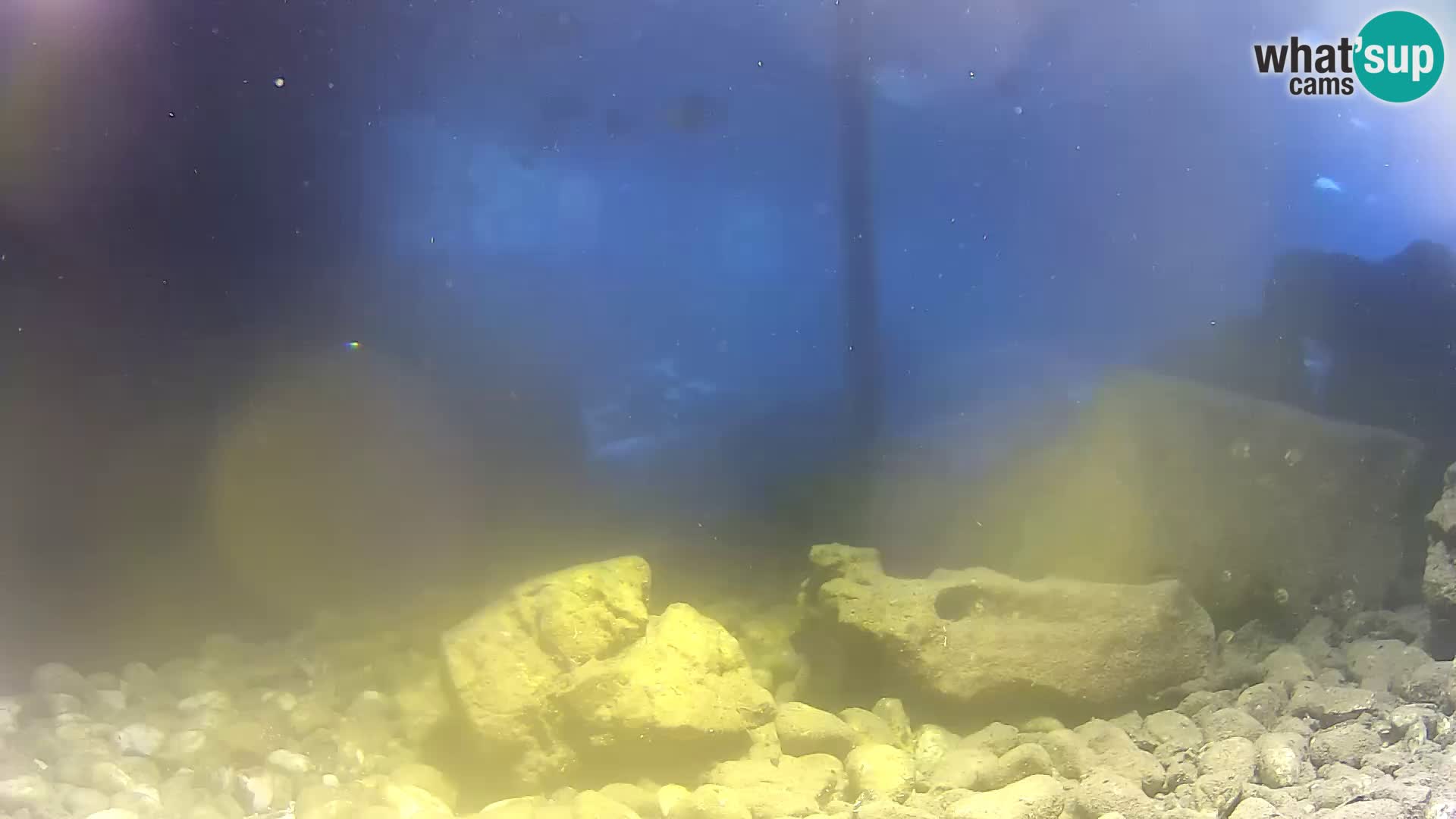 Acuario marino al aire libre Rogoznica webcam Croacia