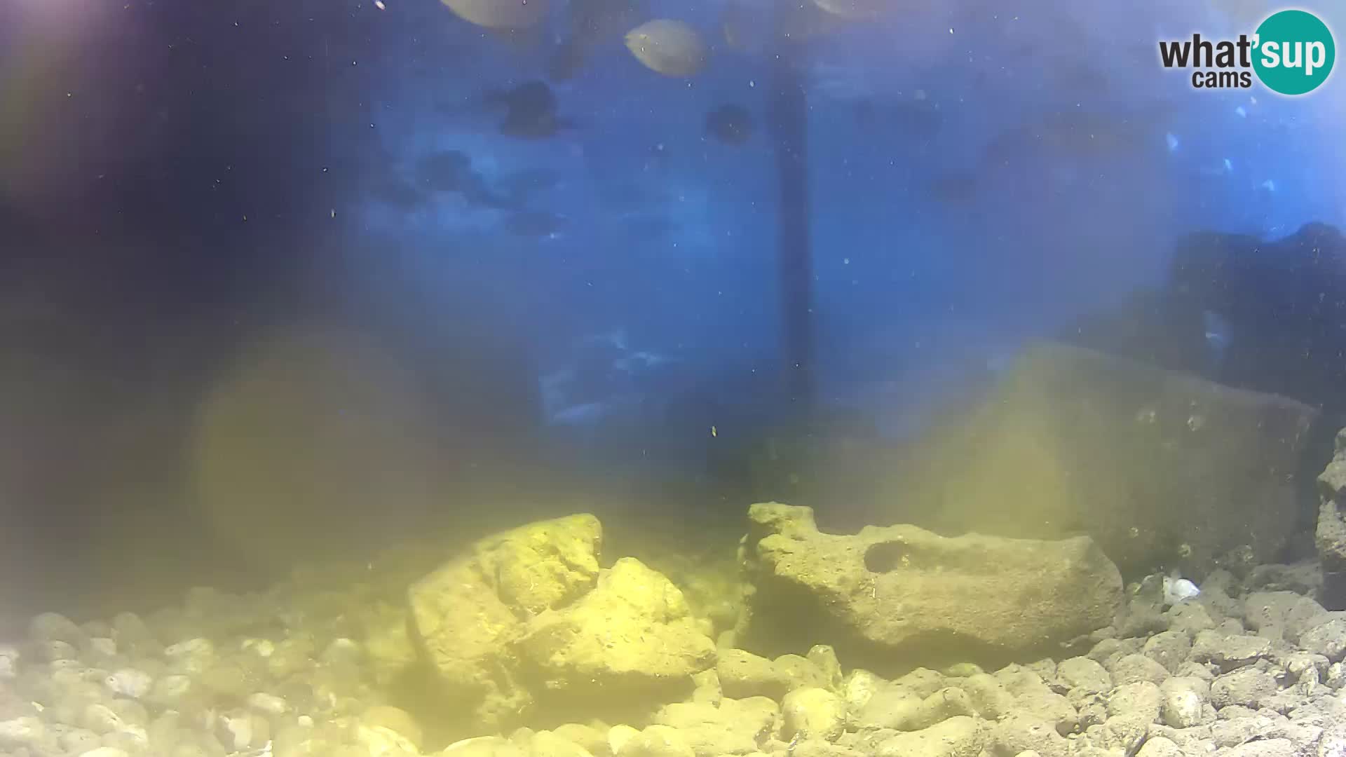 Webcam de l’aquarium marin extérieur de Rogoznica Croatie