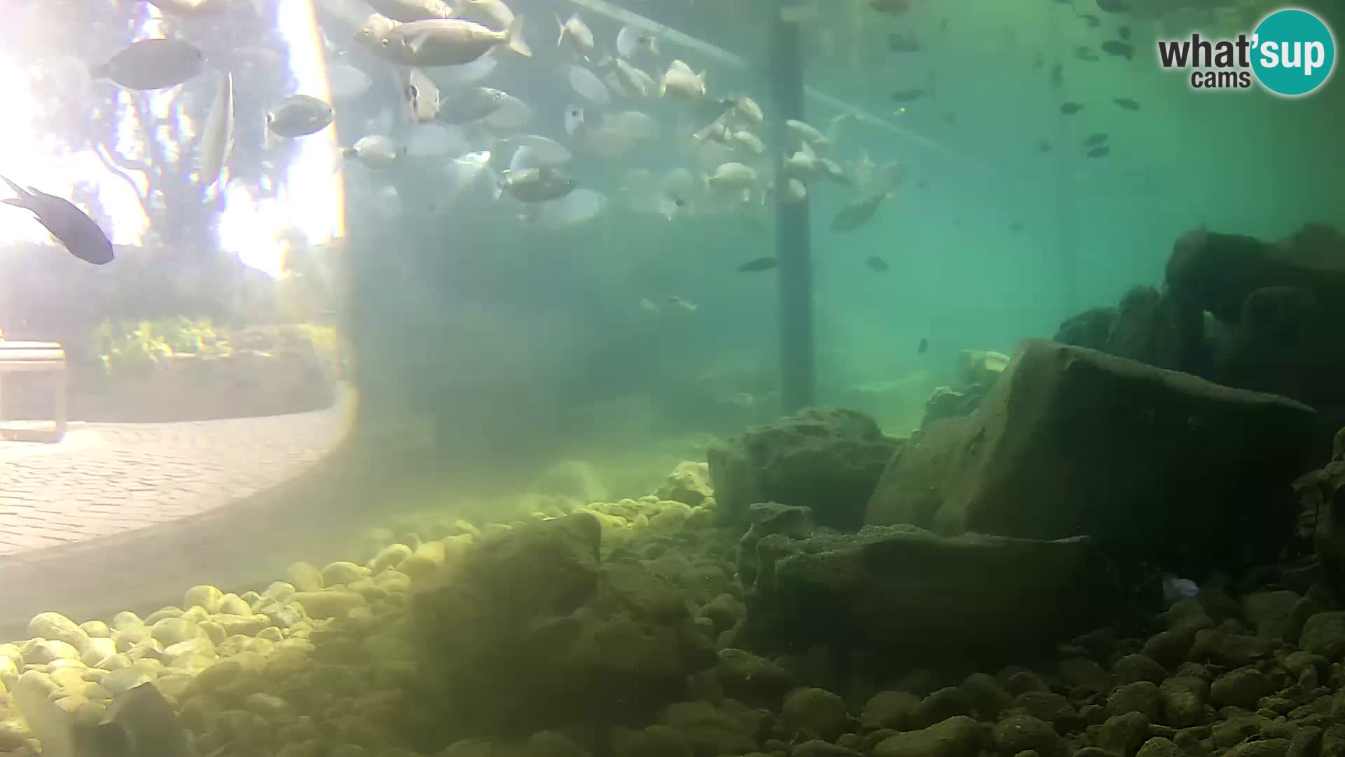 Marine Aquarium im Freien Rogoznica webcam Kroatien
