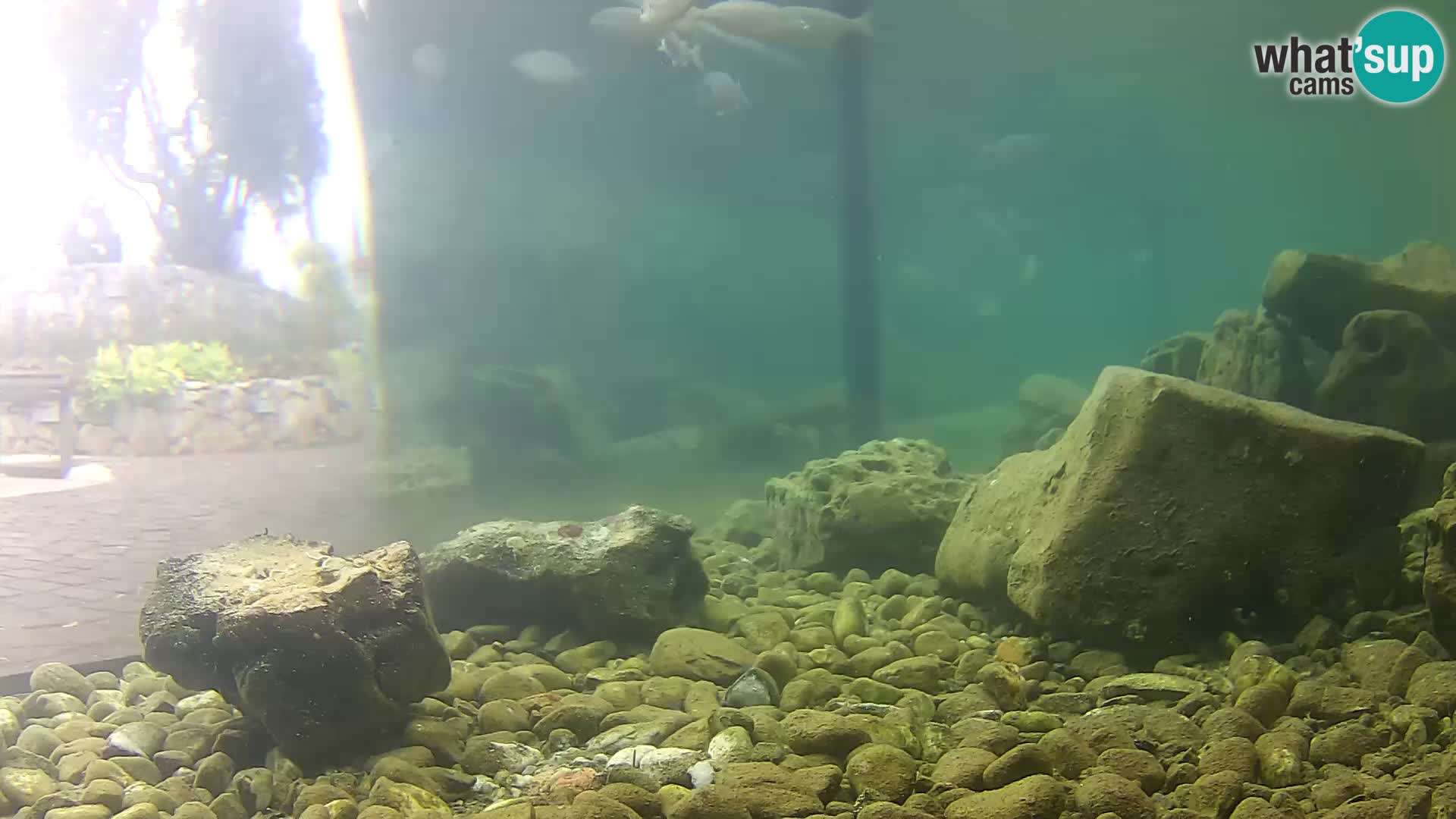 Marine Aquarium im Freien Rogoznica webcam Kroatien