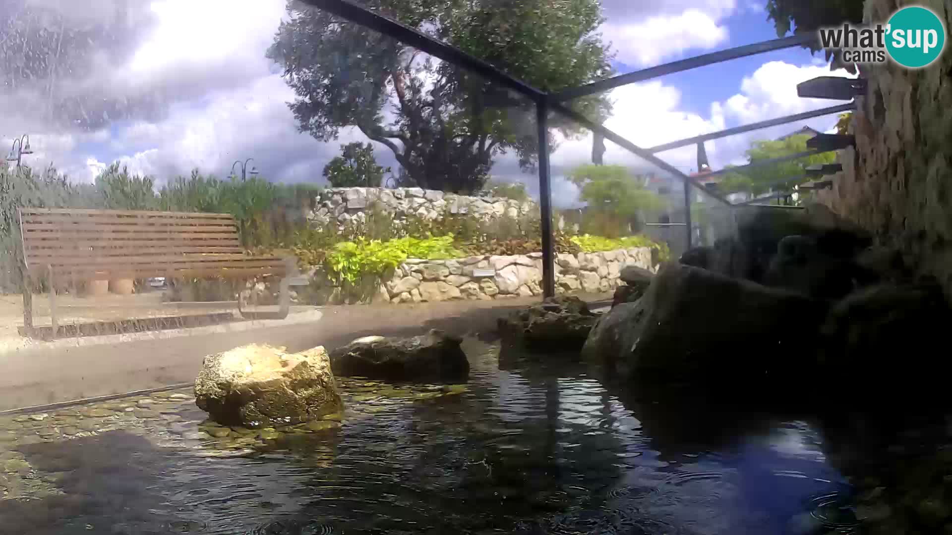 Aquario marino esterno –  Rogoznica livecam Croazia