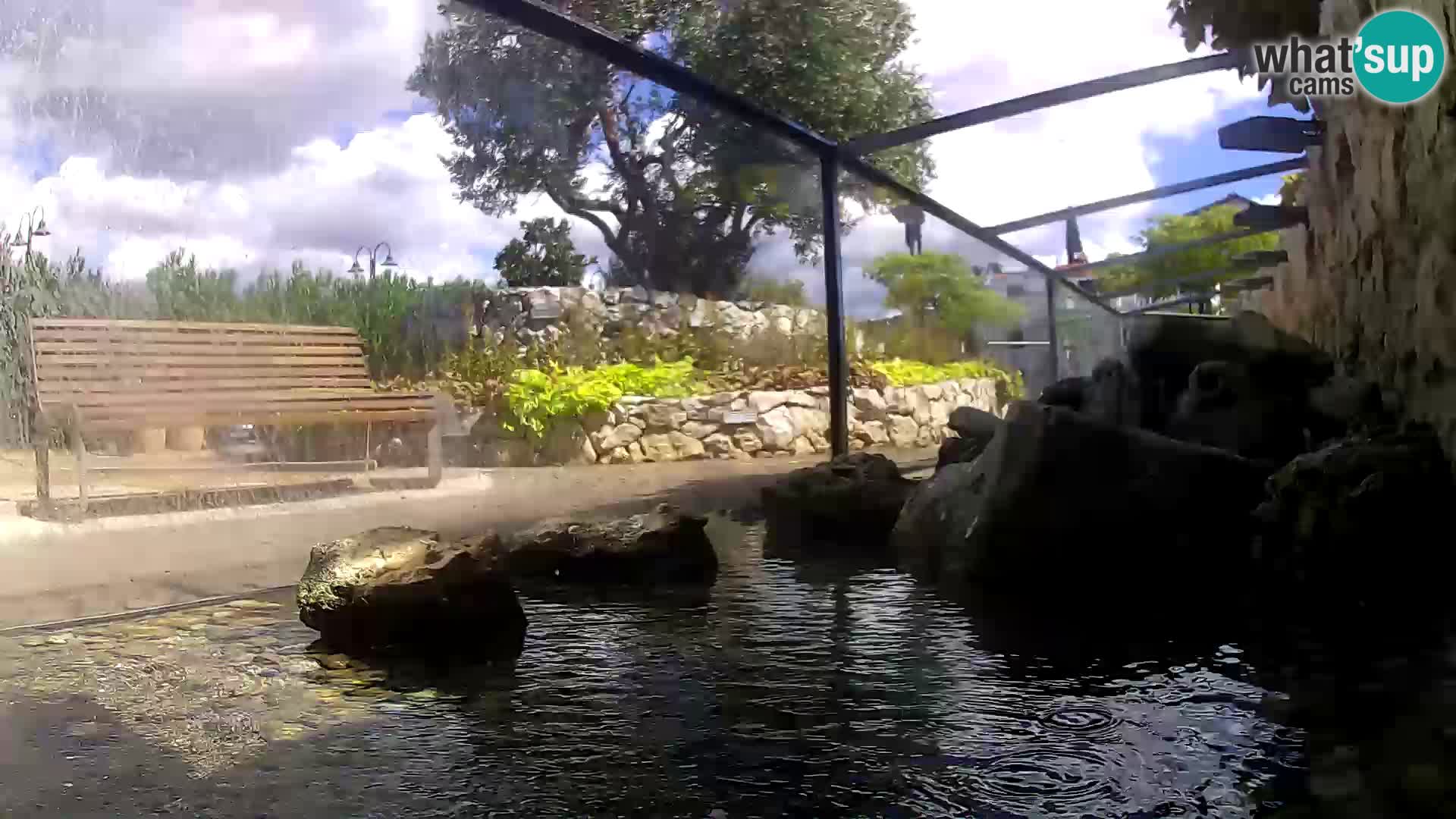 Aquario marino esterno –  Rogoznica livecam Croazia