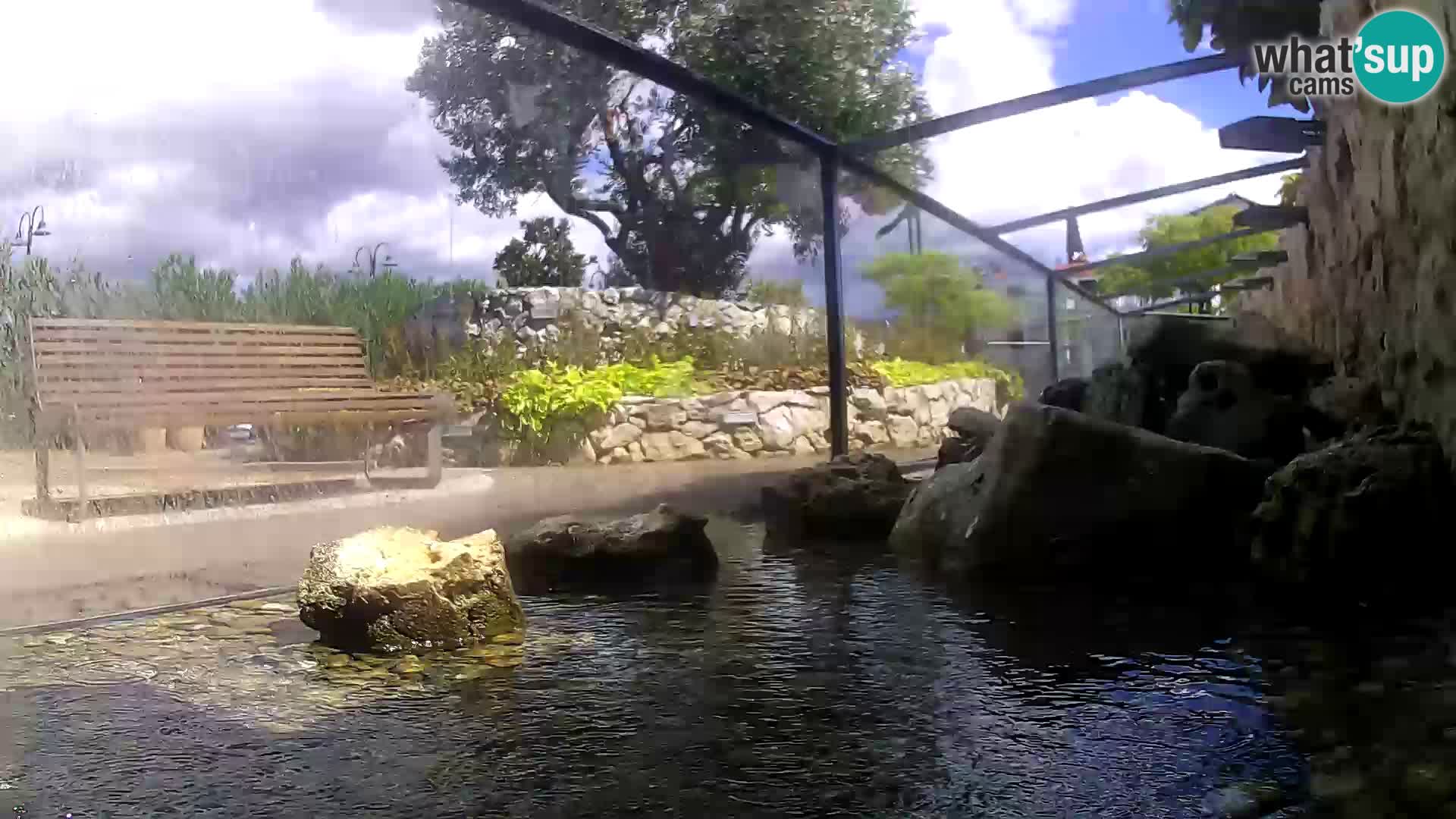 Aquario marino esterno –  Rogoznica livecam Croazia