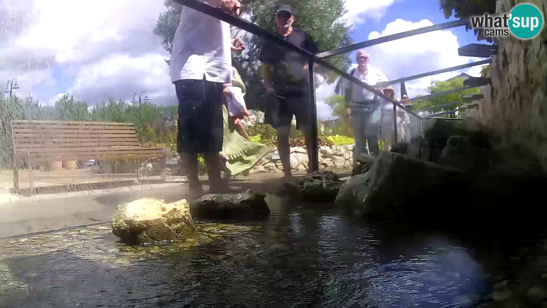 Webcam de l’aquarium marin extérieur de Rogoznica Croatie